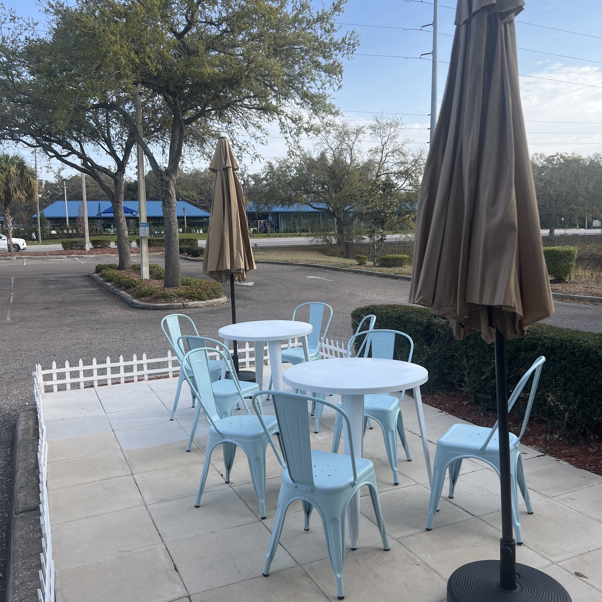 Early Bird New Port Richey