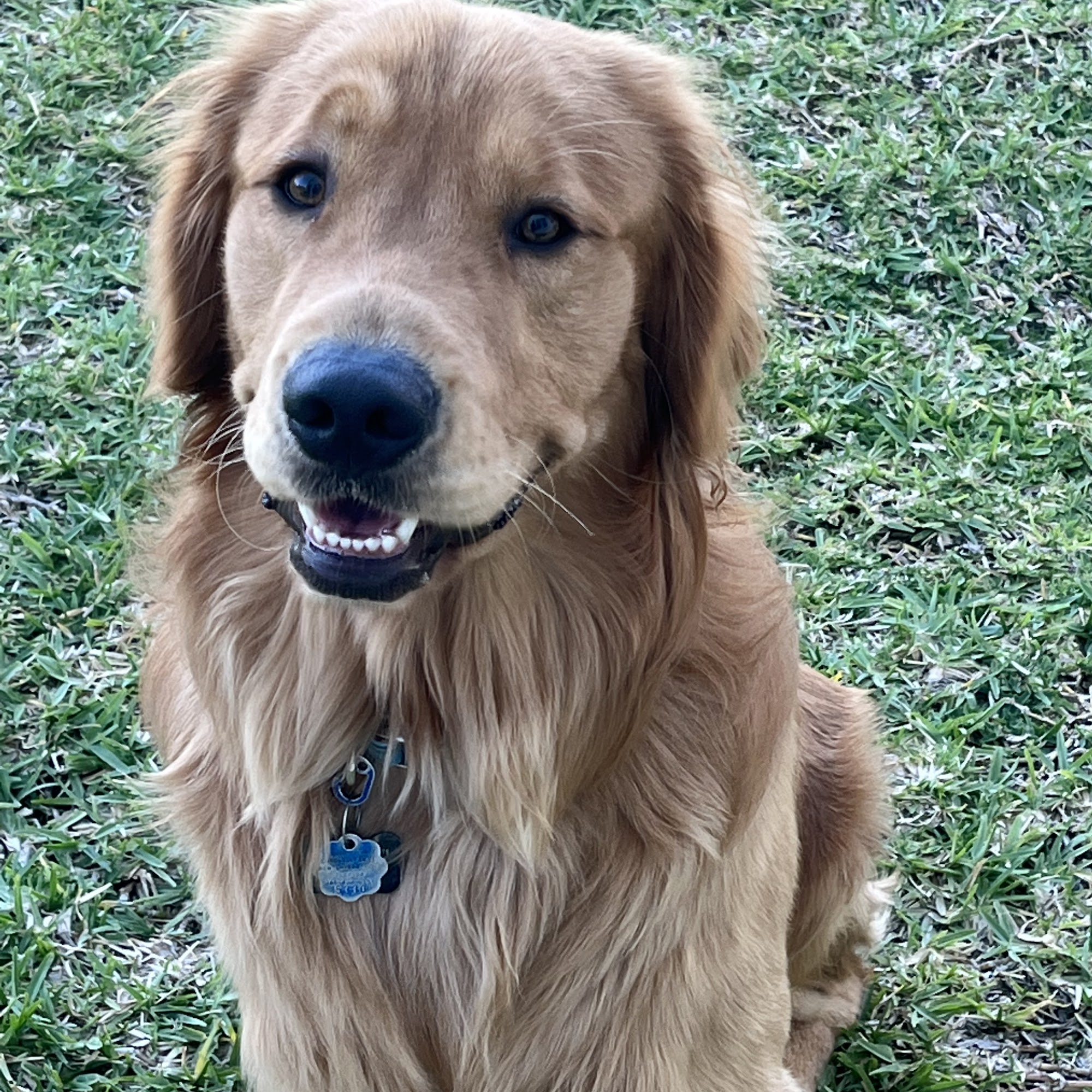 Coronado Animal Clinic New Smyrna Beach