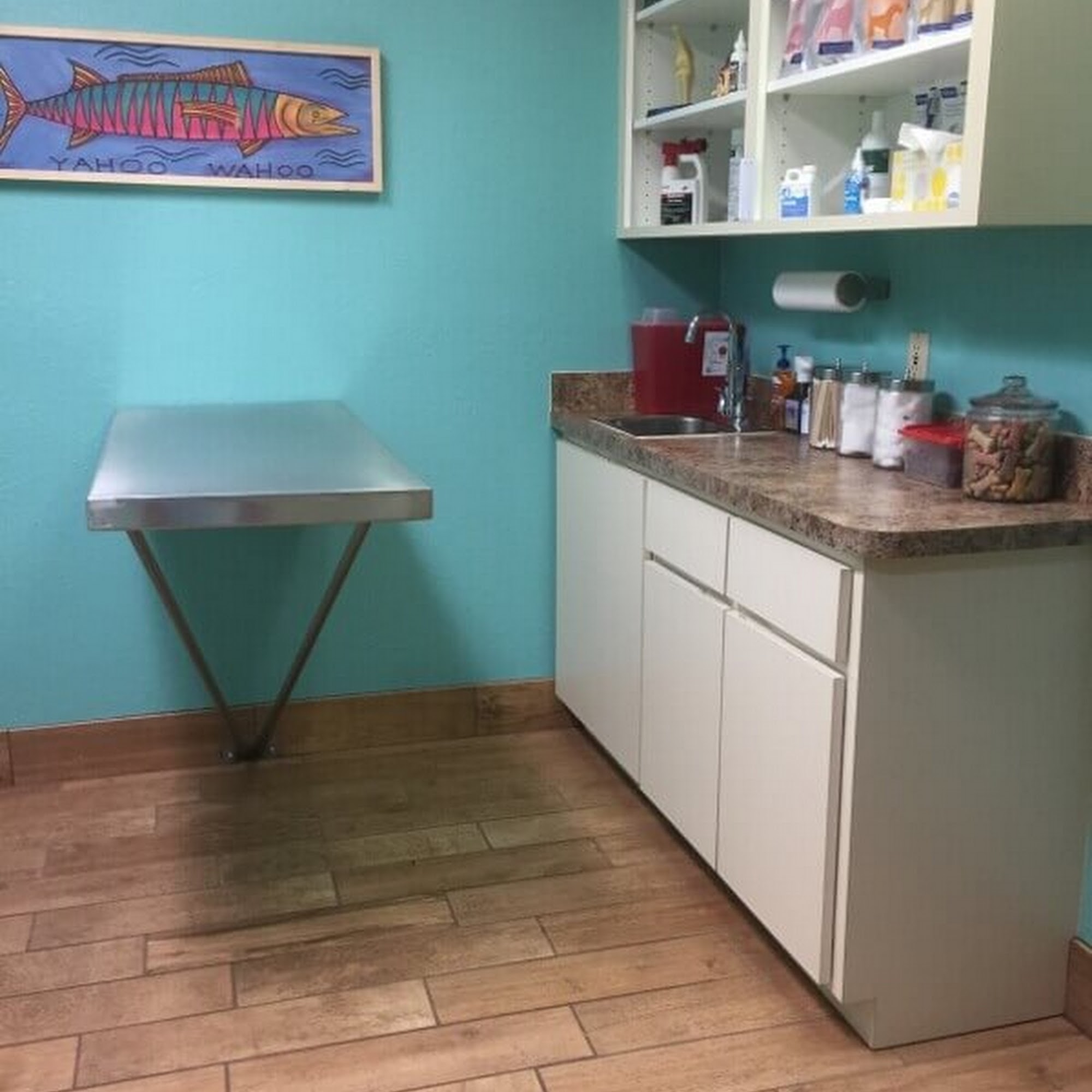 Beachwood Animal Clinic New Smyrna Beach