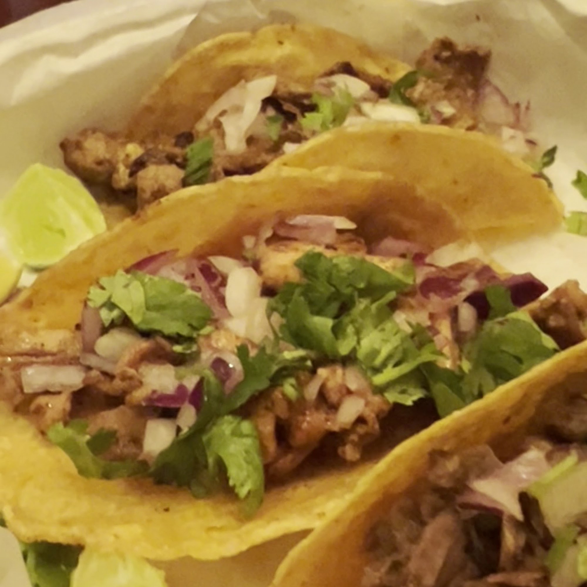 Cilantro Tacos (Tioga) Newberry