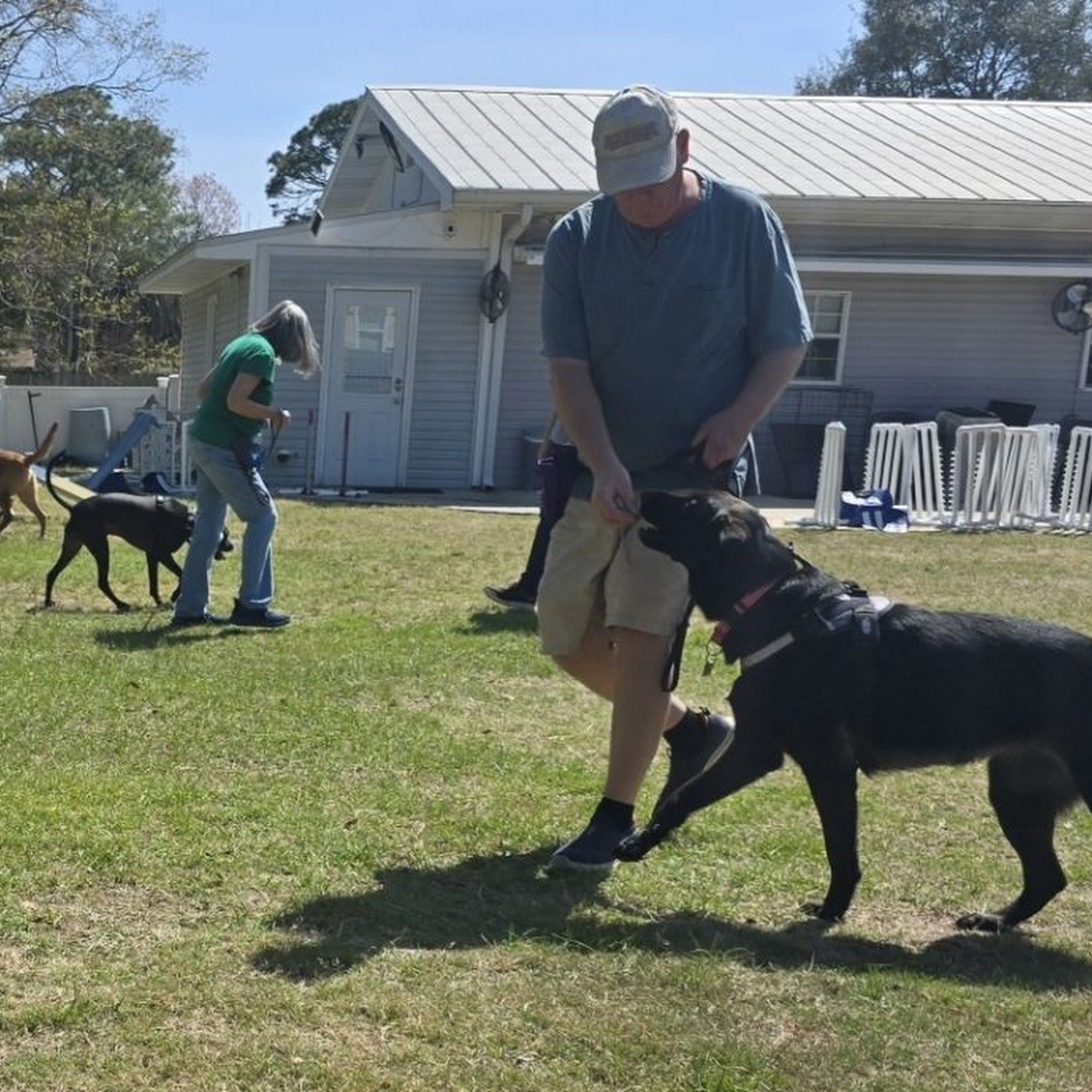 Pet's Behave LLC Niceville