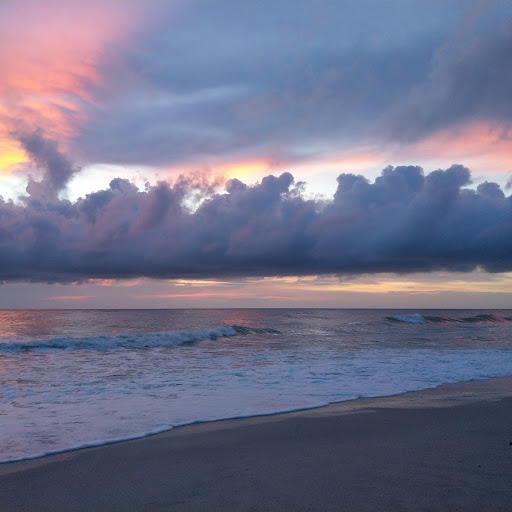 Auction Exchange USA LLC Nokomis