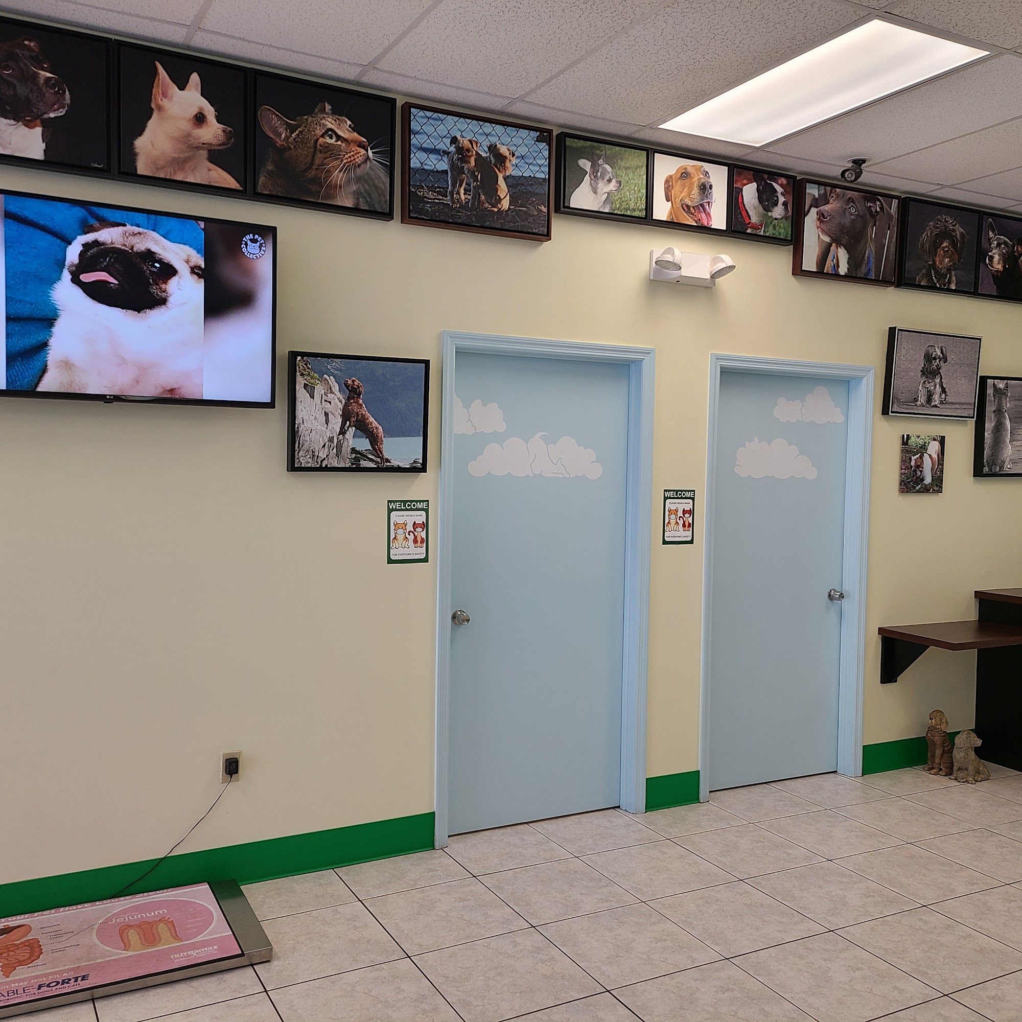 Bayshore Animal Hospital North Fort Myers