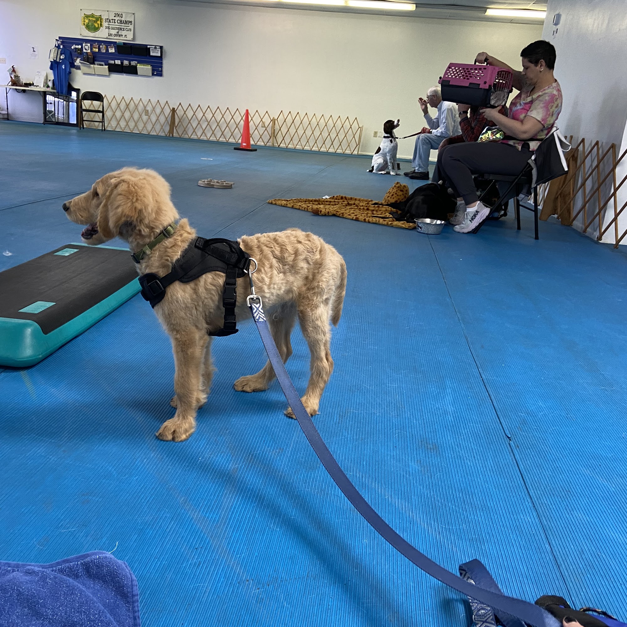 Dog Obedience Club of Lee County North Fort Myers