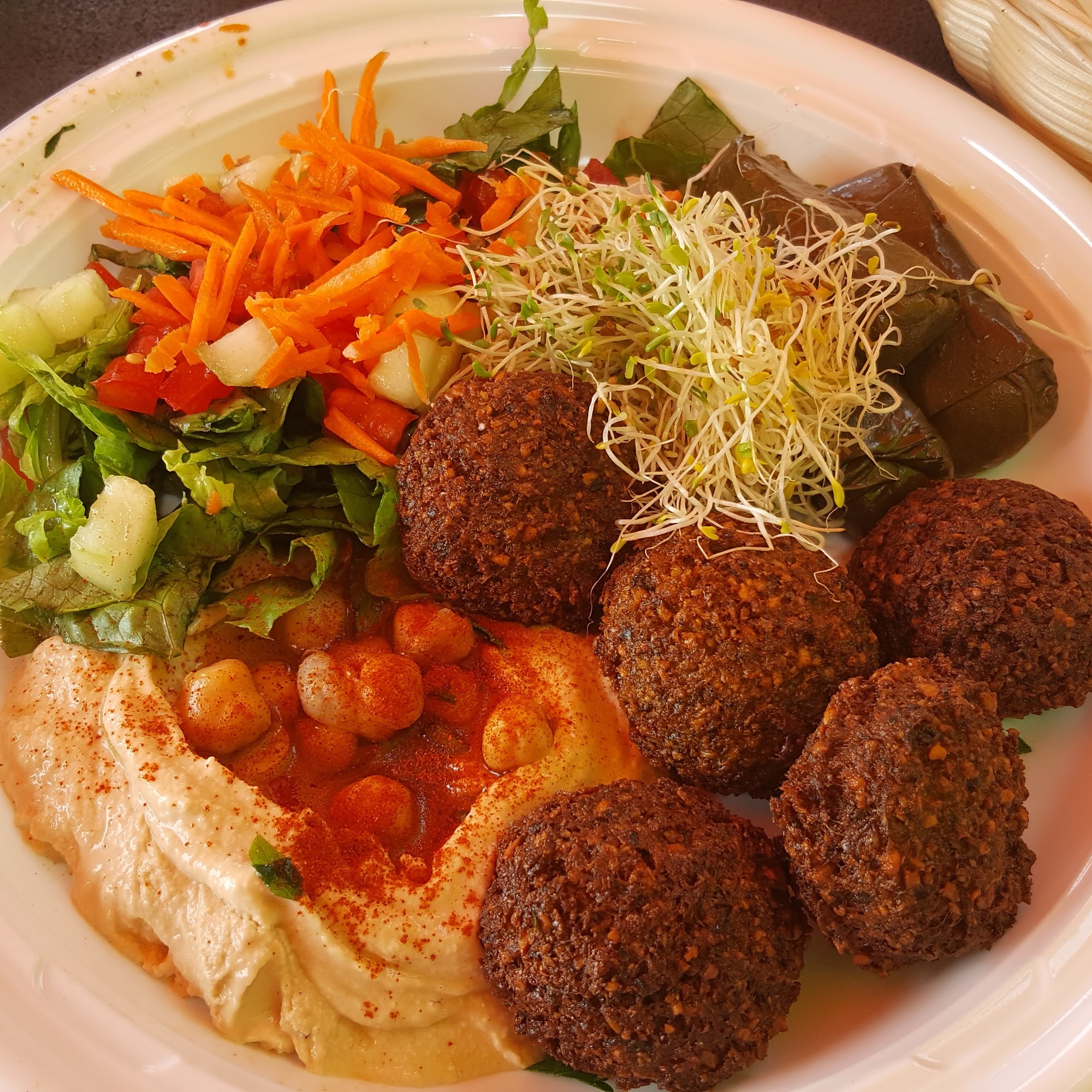 Miami Squeeze North Miami Beach