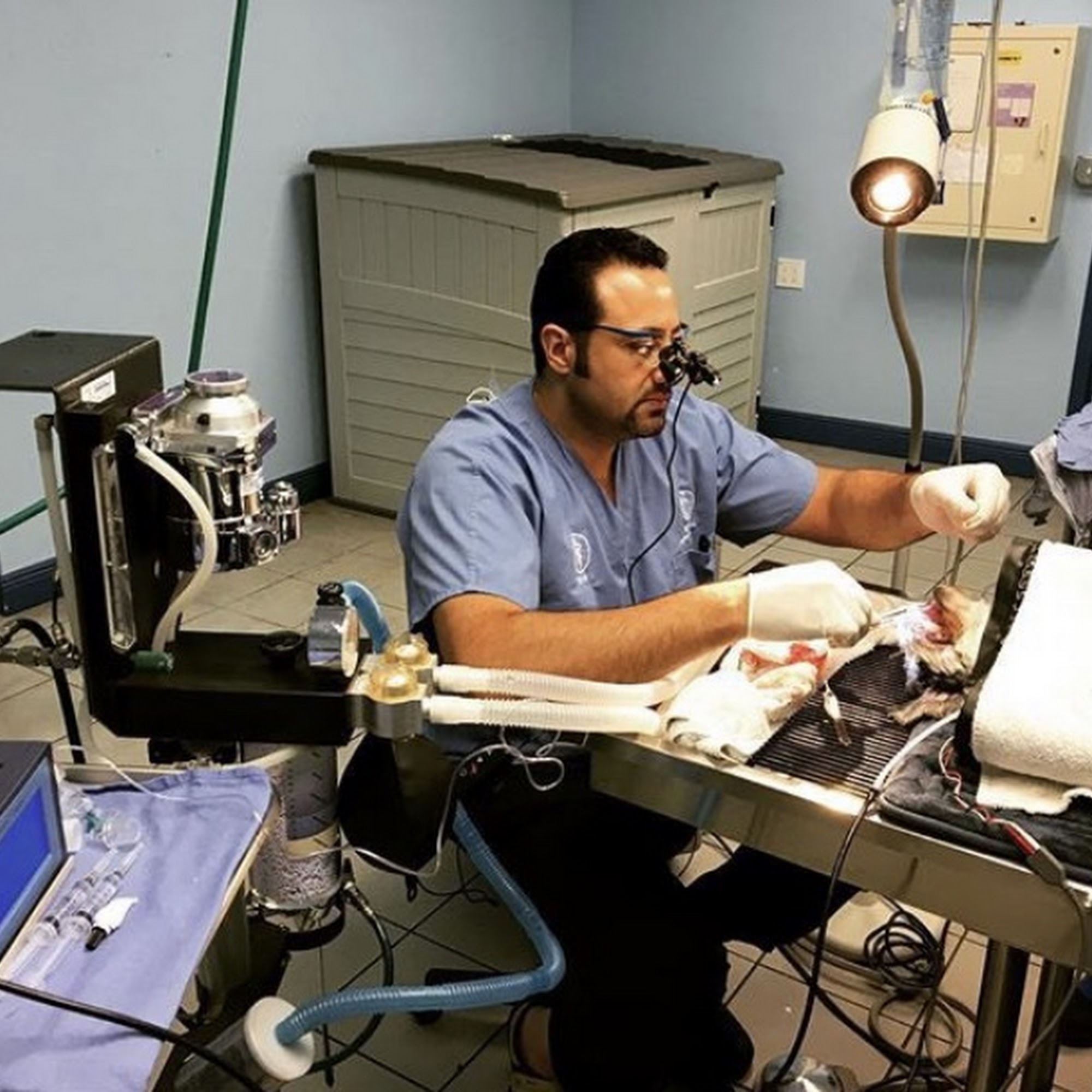 Kind Animal Hospital North Miami Beach