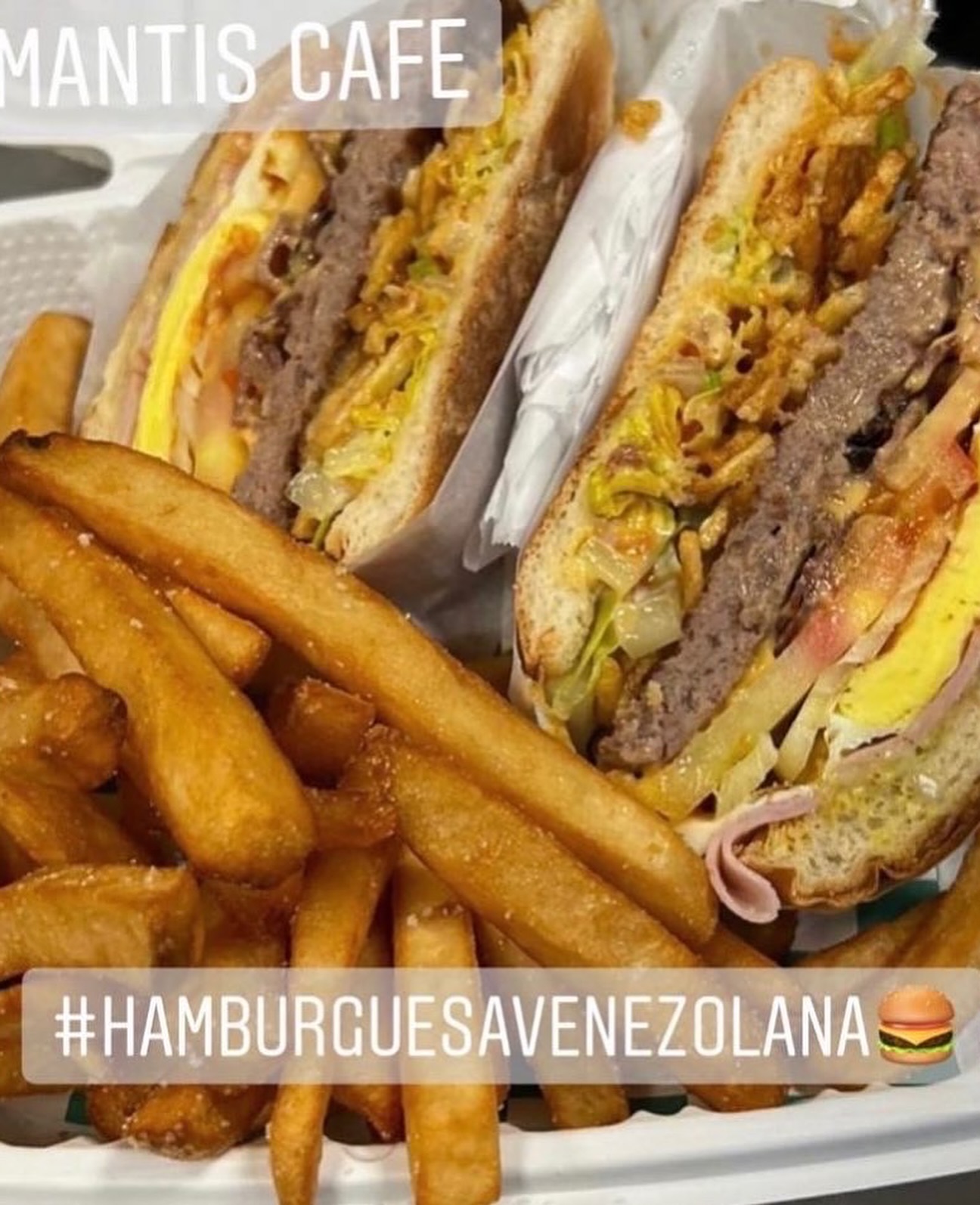 MANTIS CAFE North Miami