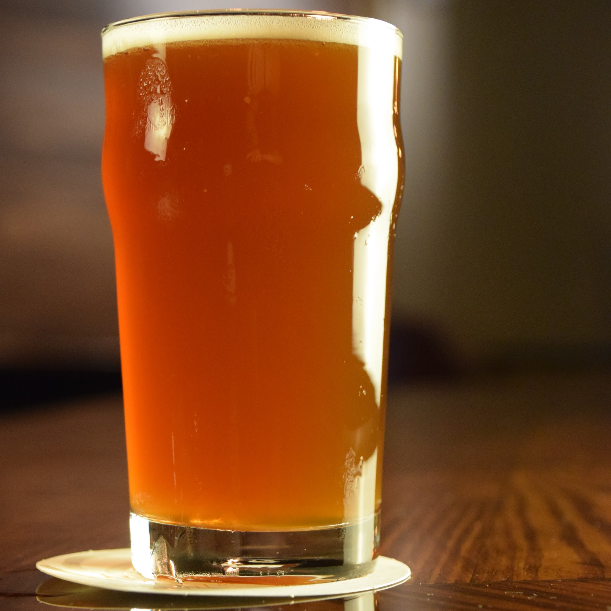 Lost City Brewing Company North Miami