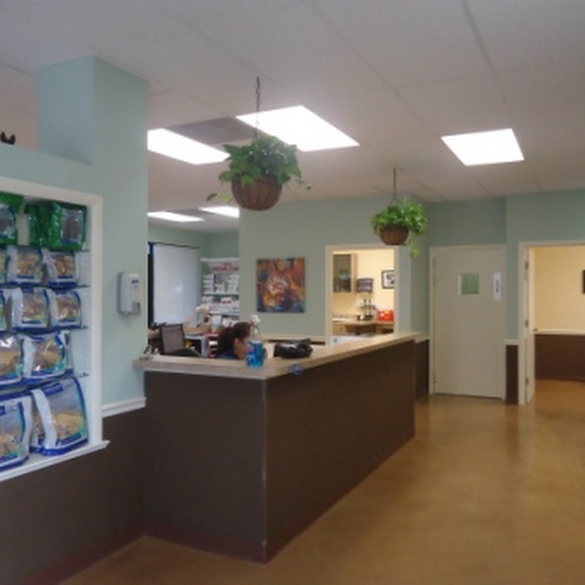 Juno Beach Animal Hospital North Palm Beach