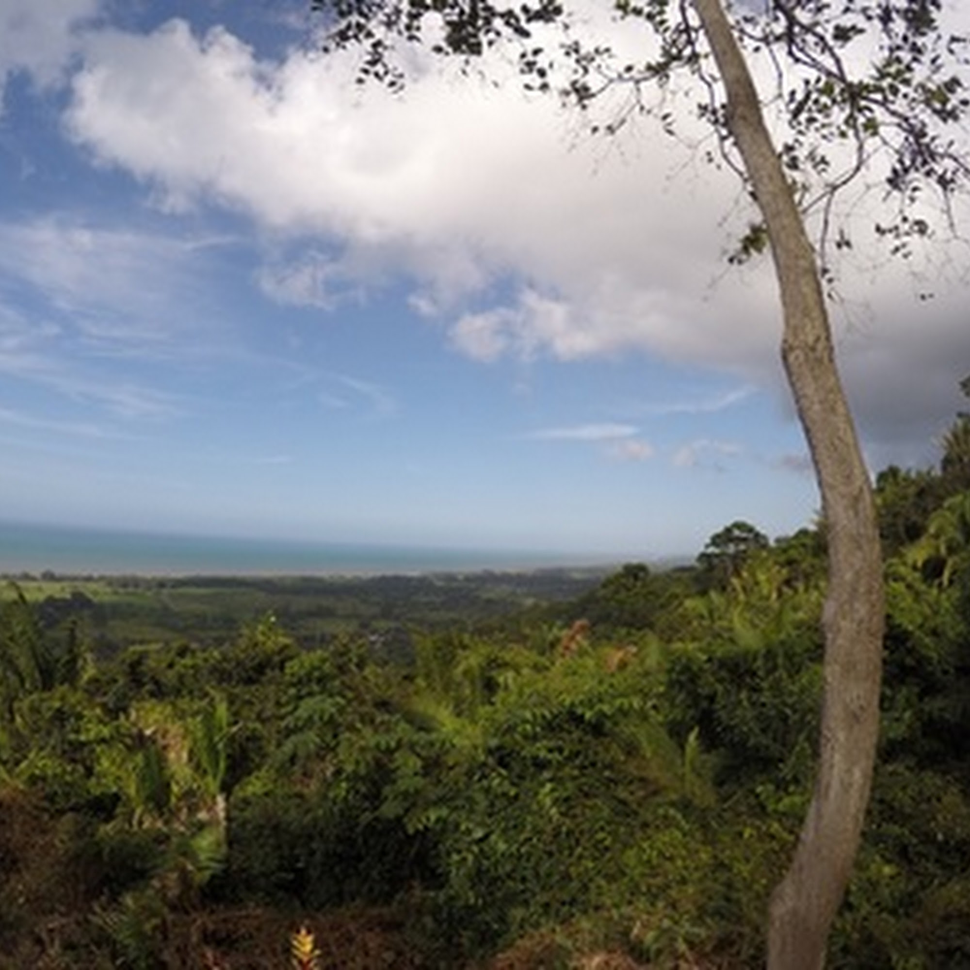 Los Dos Cristianos Coffee Shop North Port