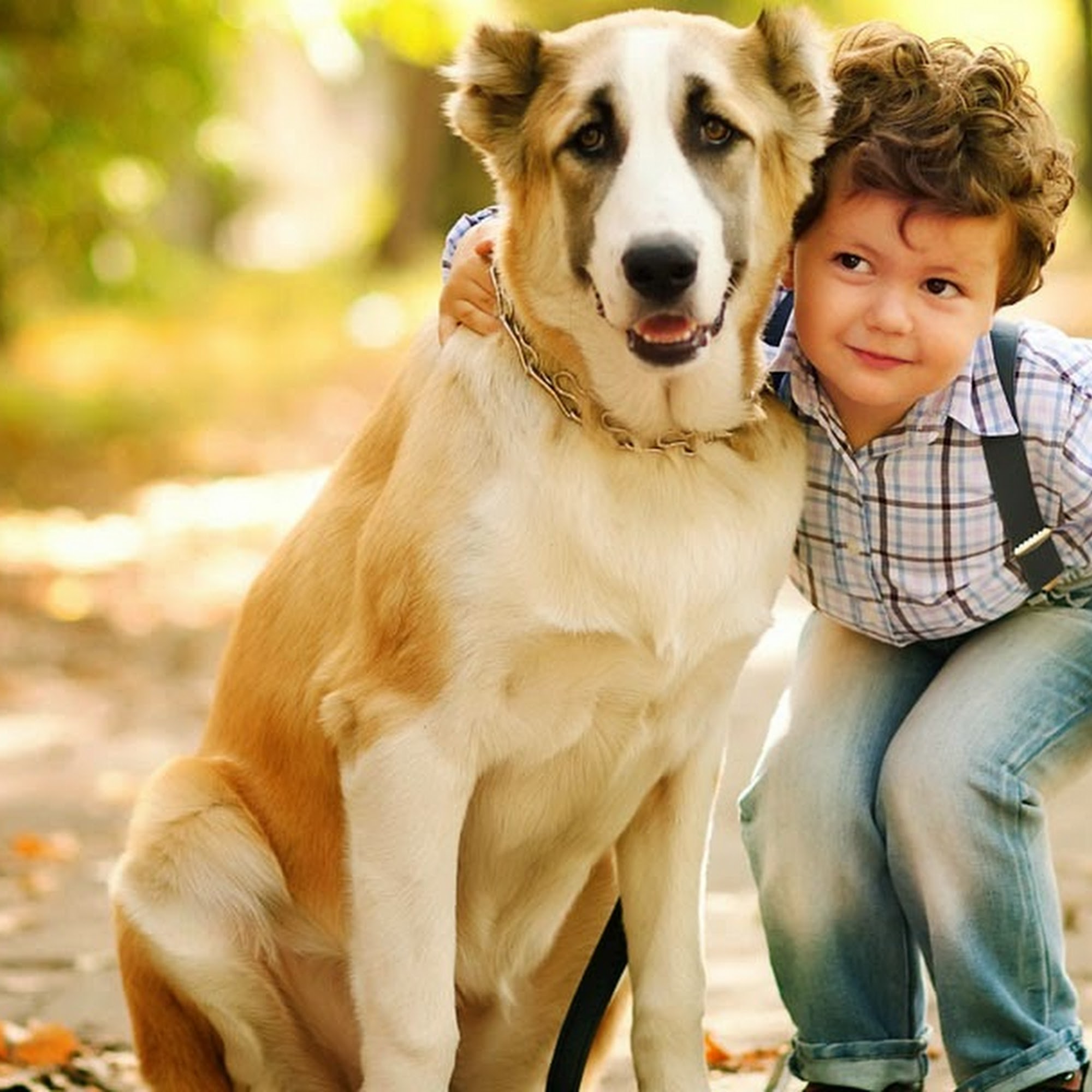 North Port Animal Hospital: Martellini John DVM North Port