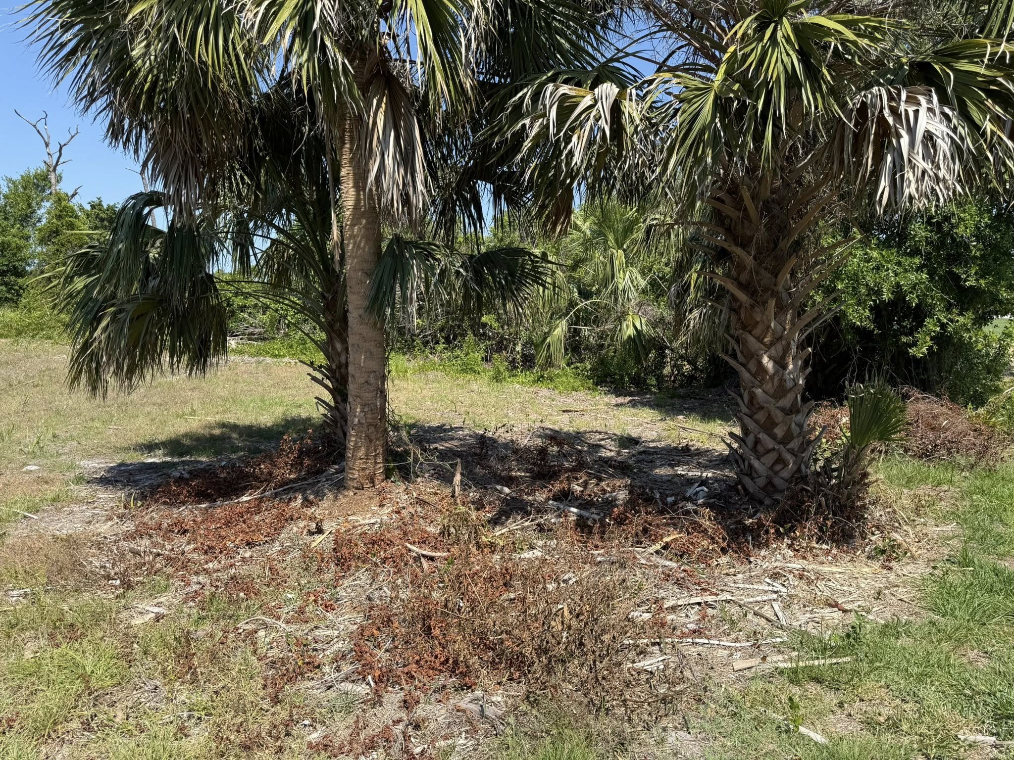 Josh Brown Landscape Maintenance