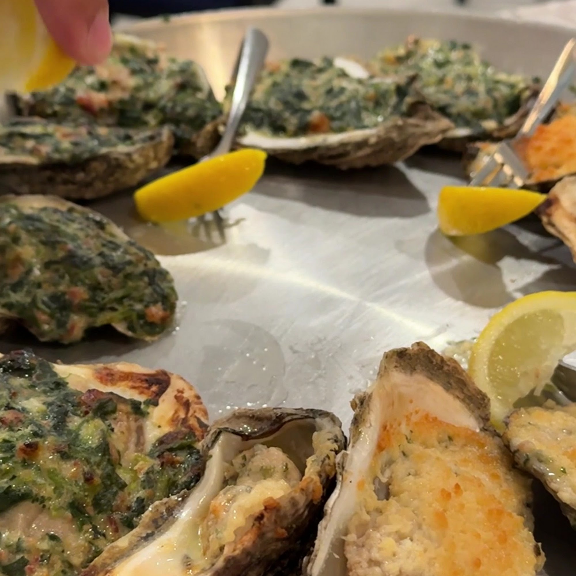 Anna Maria Oyster Bar - North Port North Port