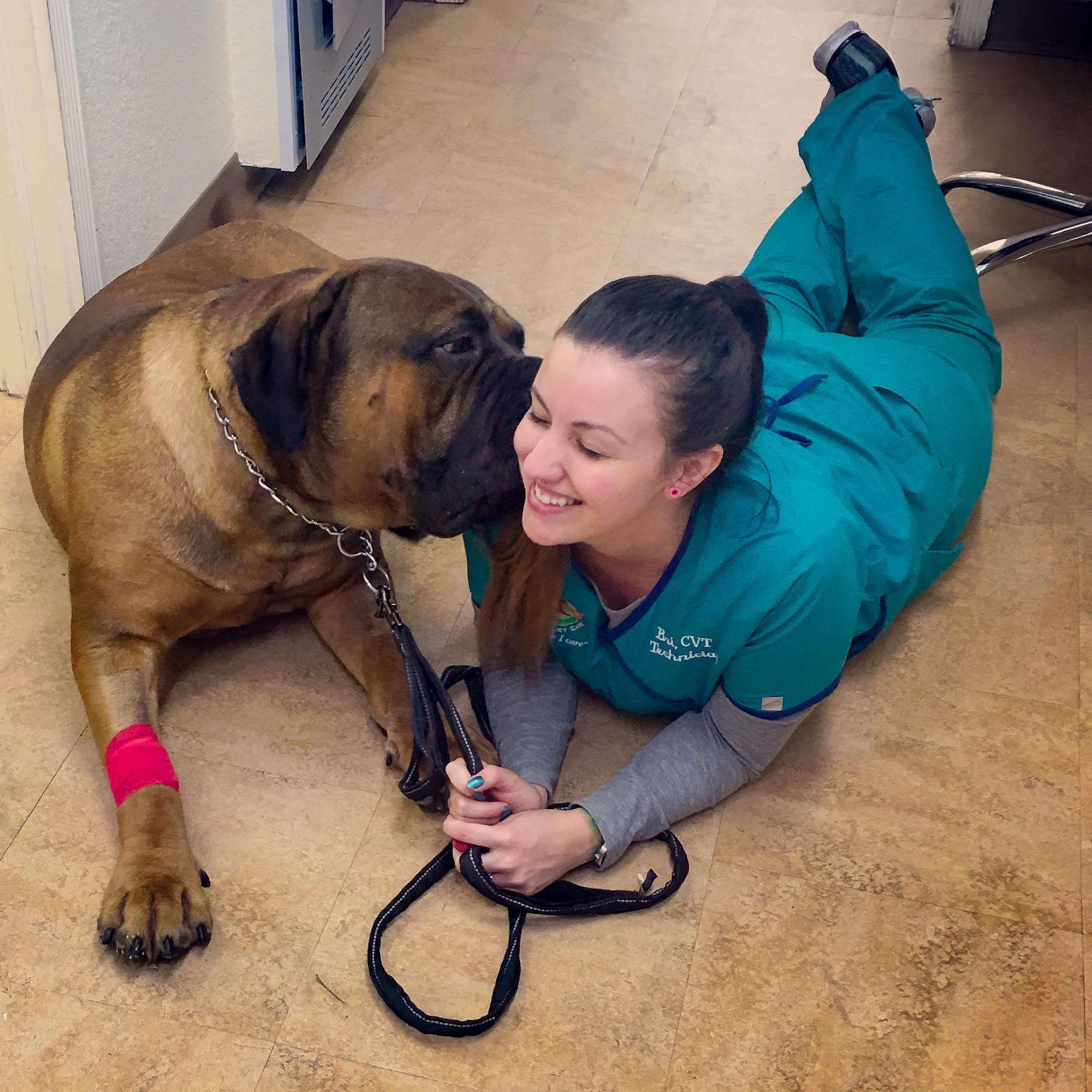 Dr. Kathy's Veterinary Care North Redington Beach