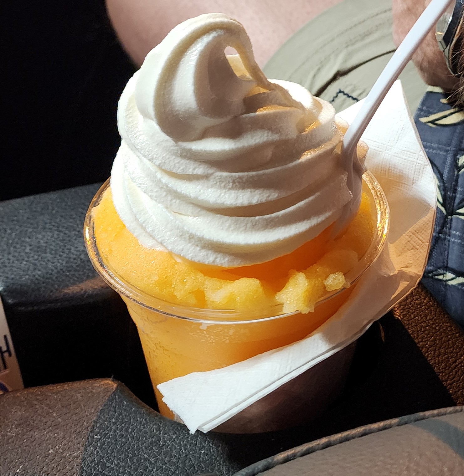 Richie's Gourmet Italian Ices Oakland Park