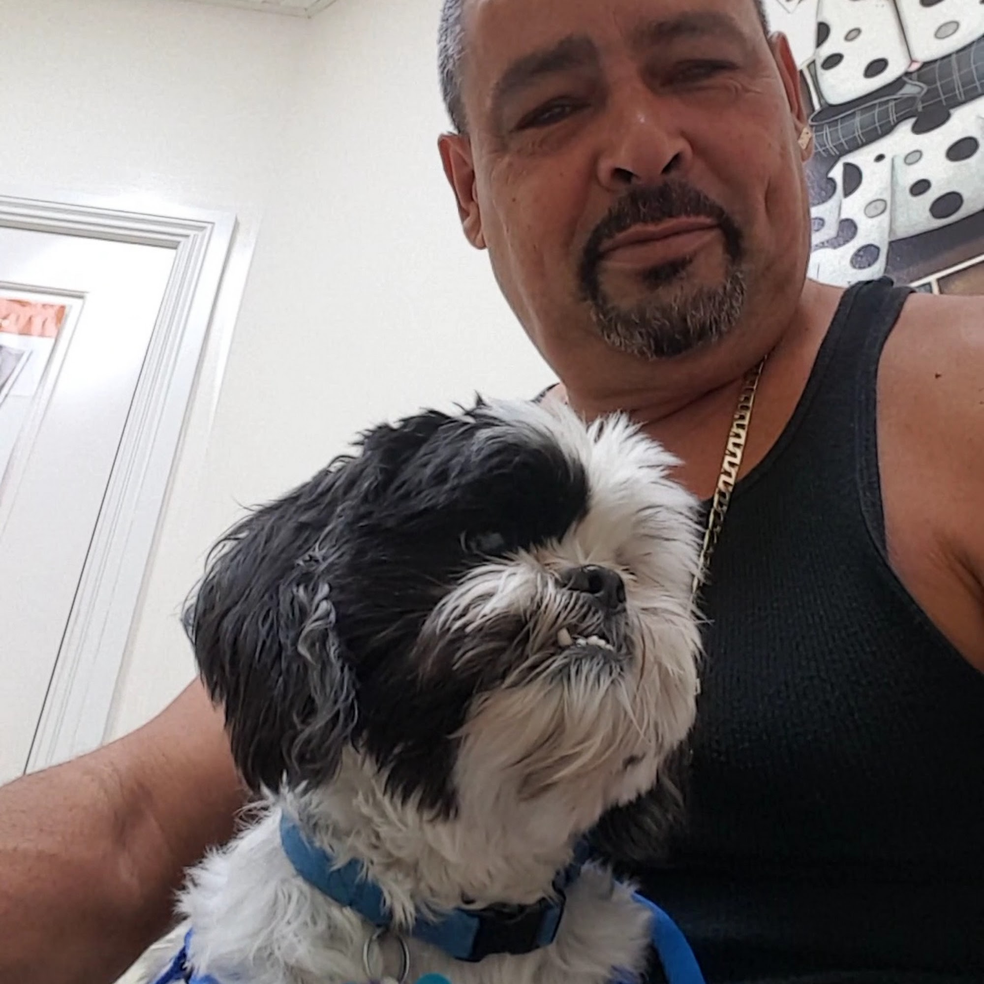 Park Veterinary Hospital Oakland Park