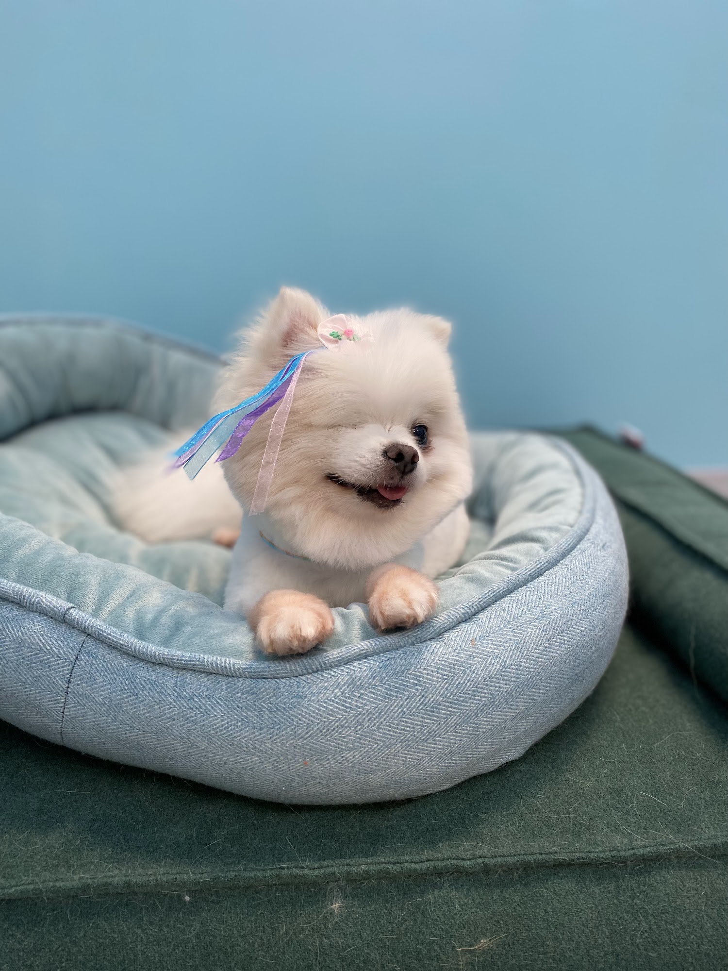 Pete & Izzie's Social Club Oakland Park