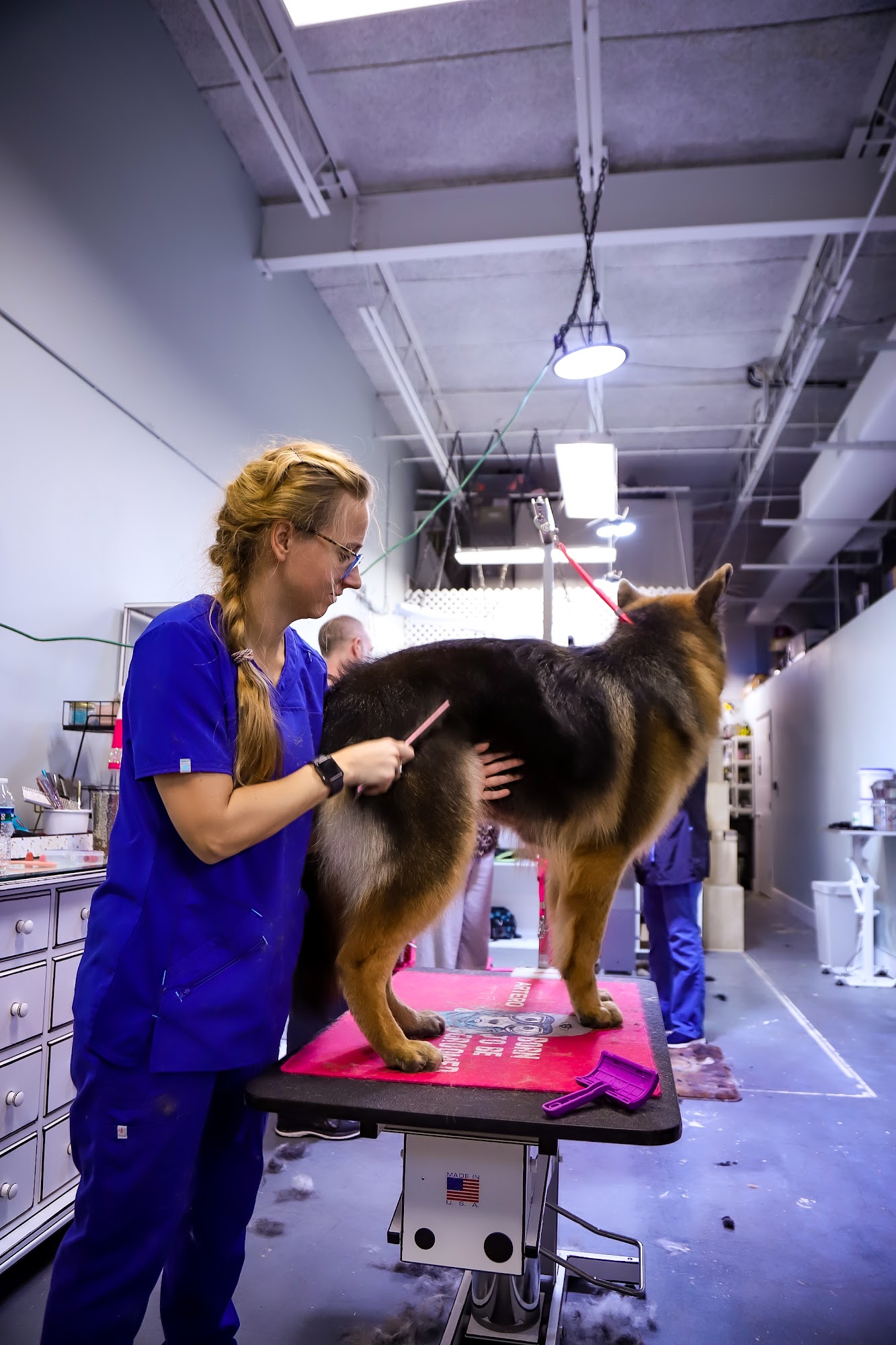 Dog Spot (Formerly Päsh The Canine Boudoir) Oakland Park