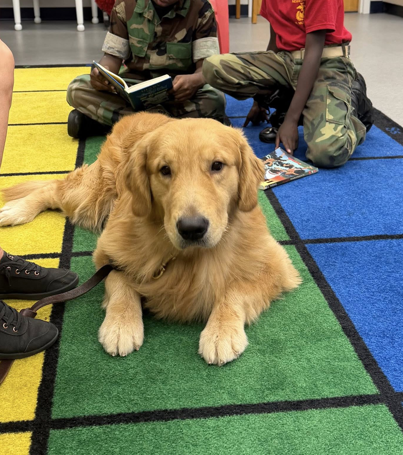 Golden paws Oakland Park