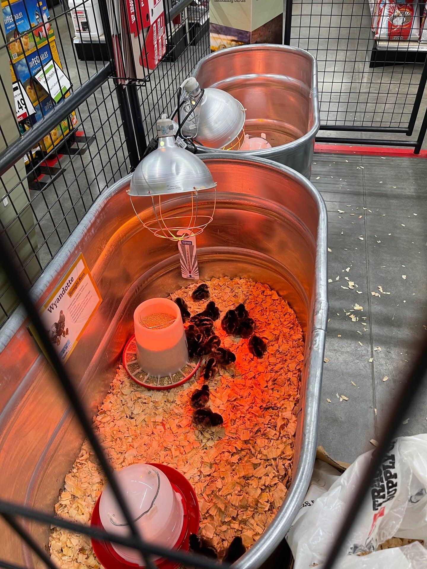 Photo credit: nextdoor