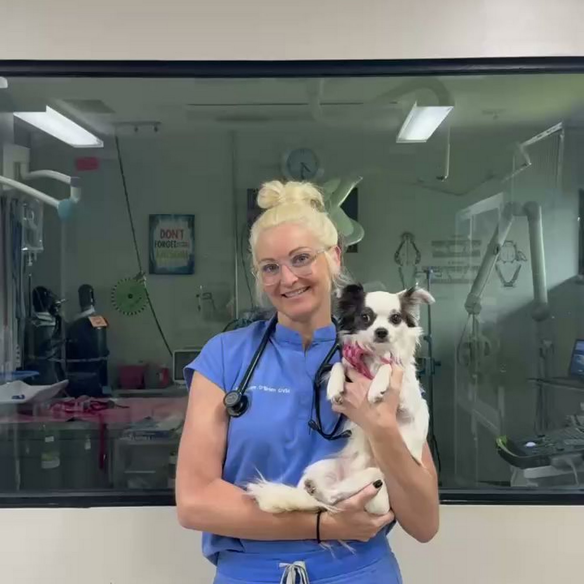 Maricamp Animal Hospital Ocala