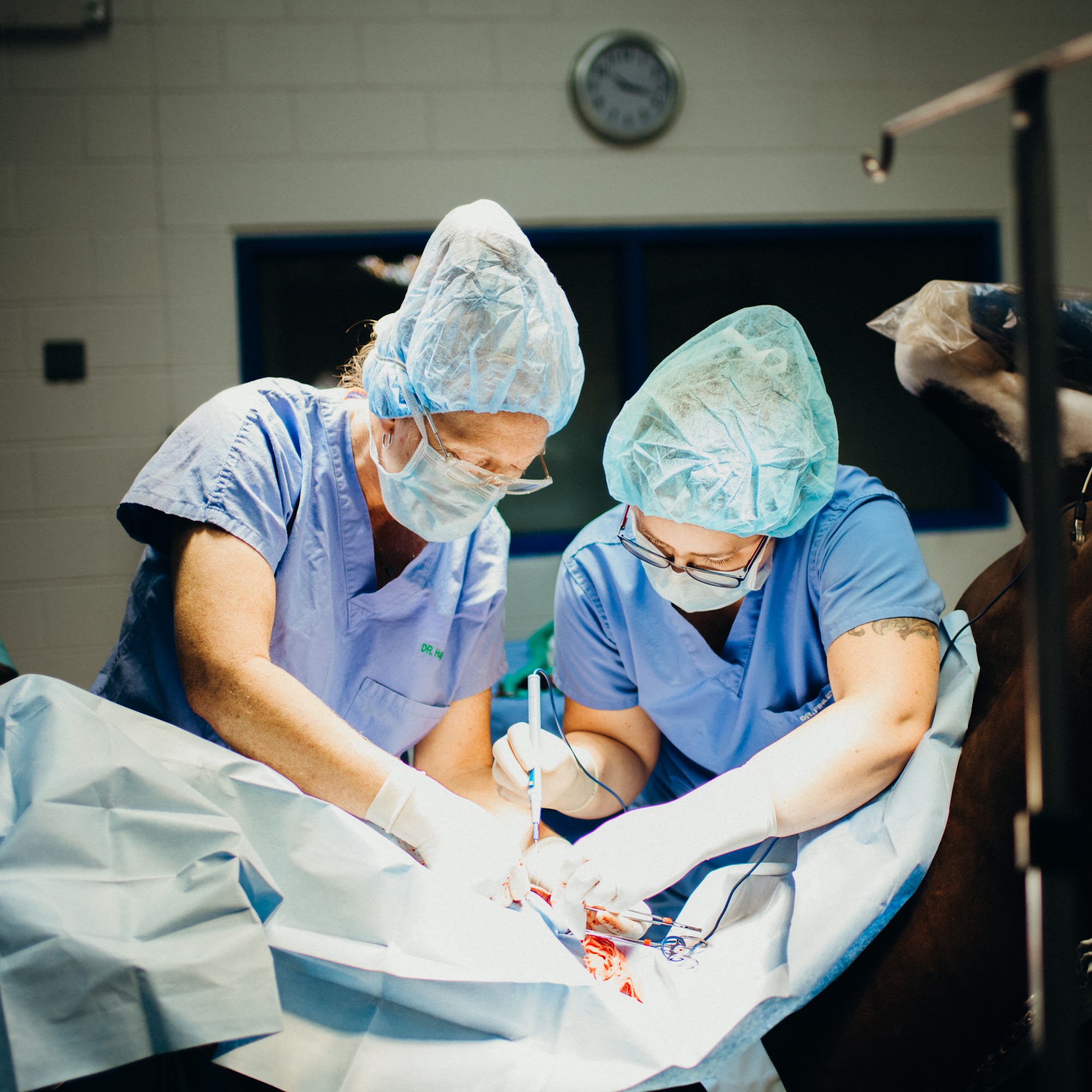 Peterson Smith Equine Hospital + Complete Care Ocala