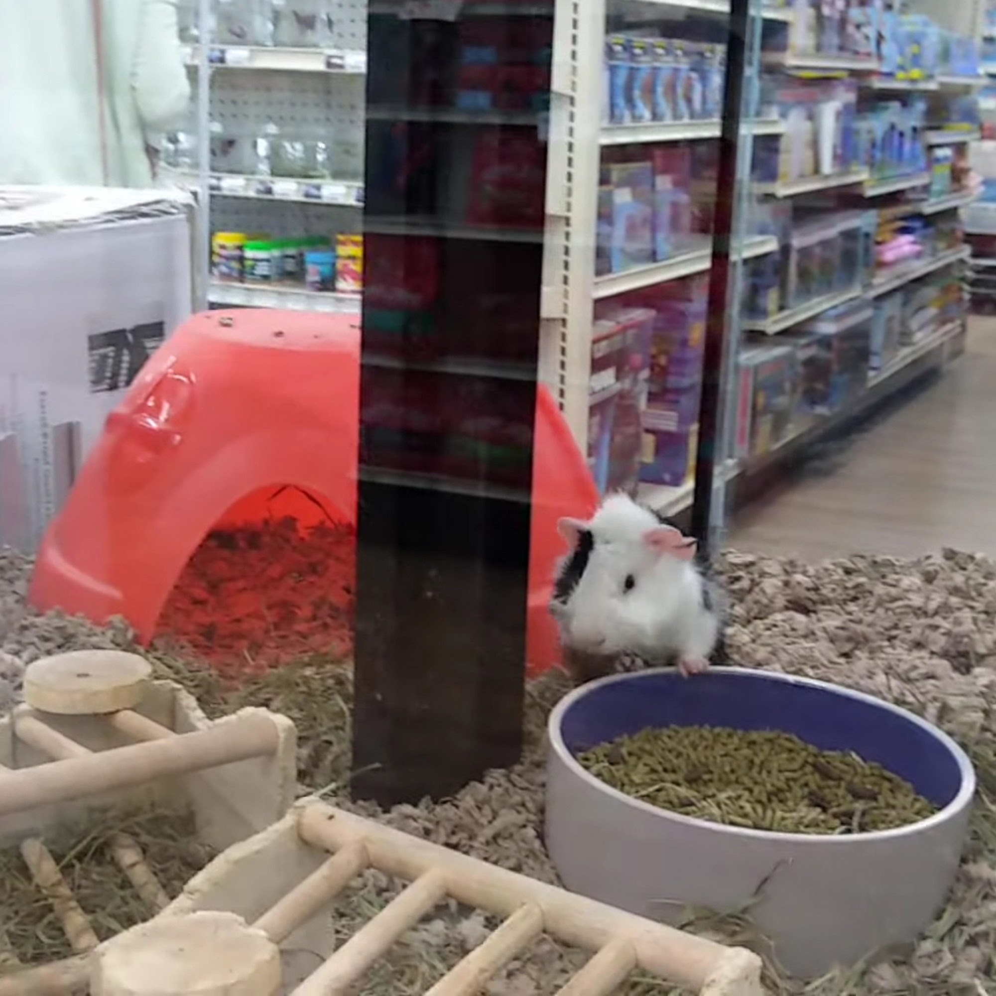 Pet Supermarket Ocala