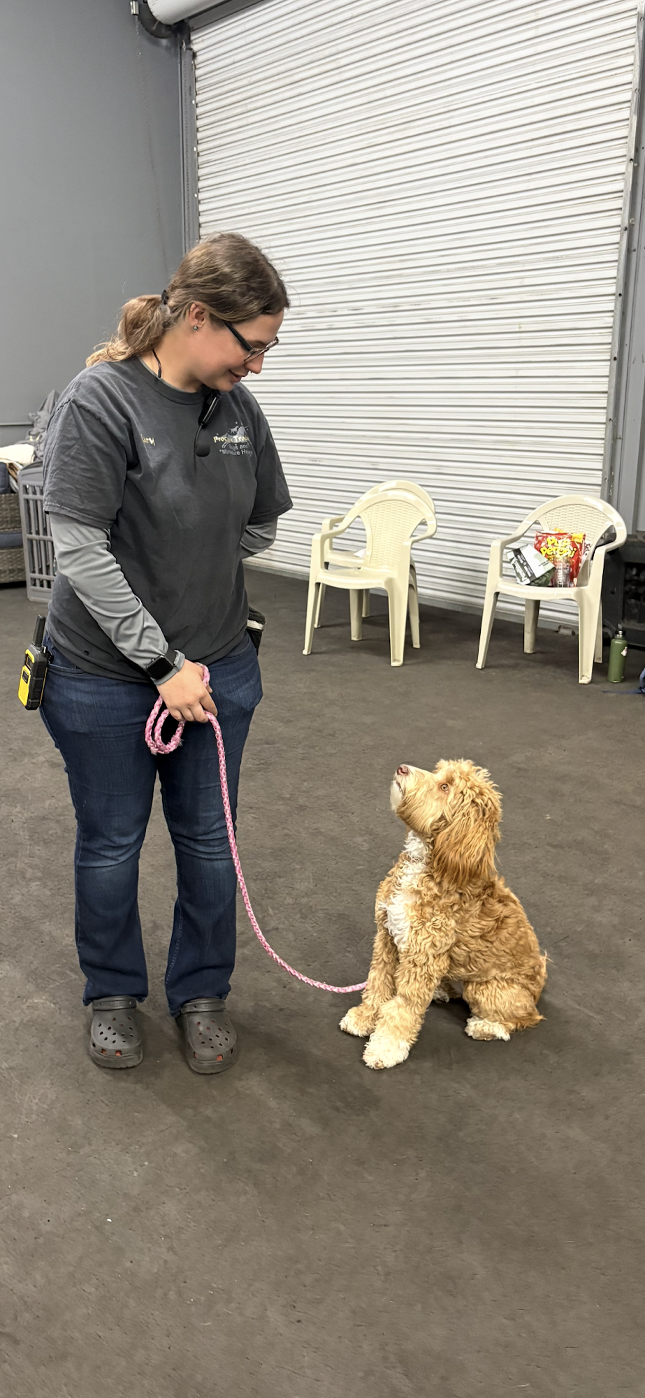 Procyon Training Ocala