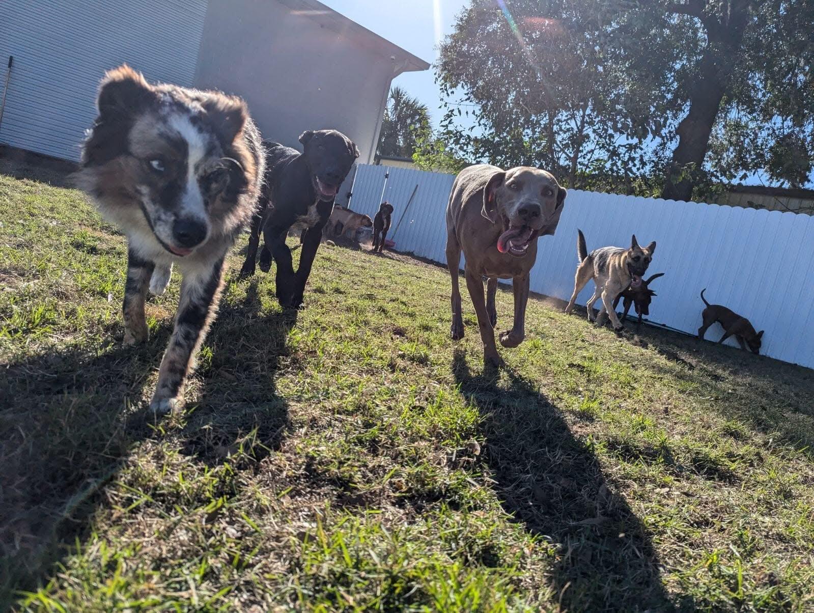 Photo credit: nextdoor