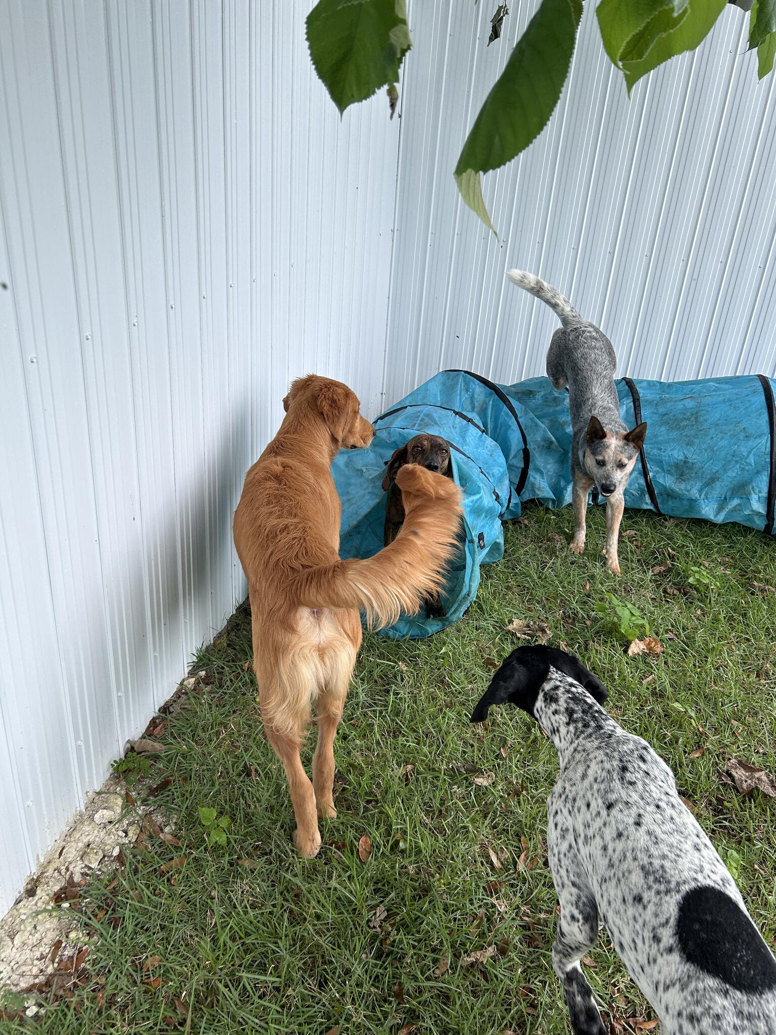 Photo credit: nextdoor