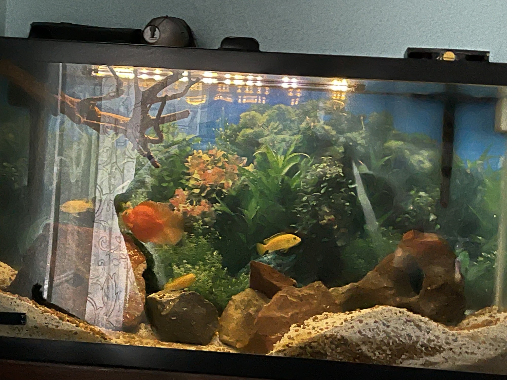 The Aquatic Source LLC Ocala