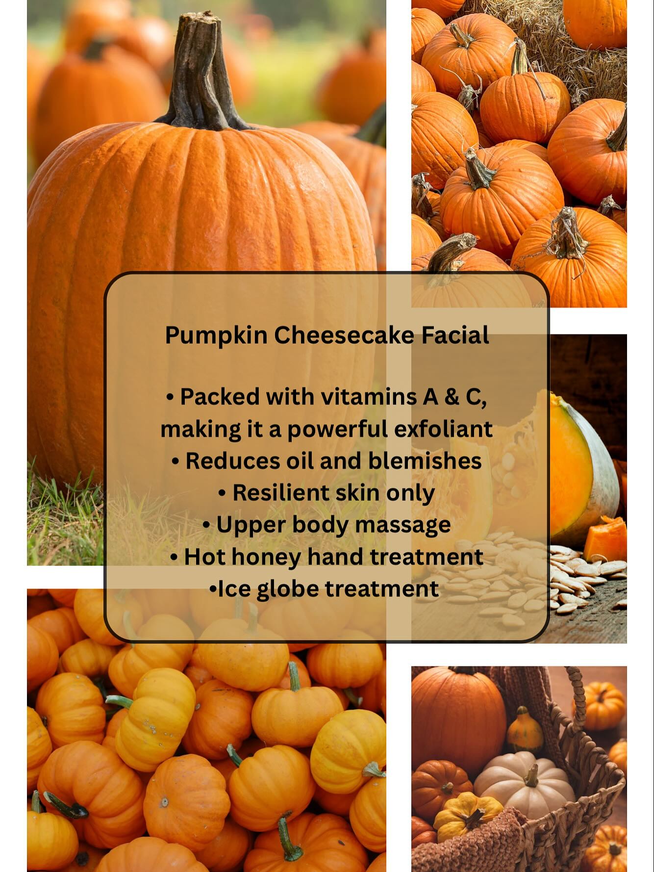 Clark & Co Wellness Spa