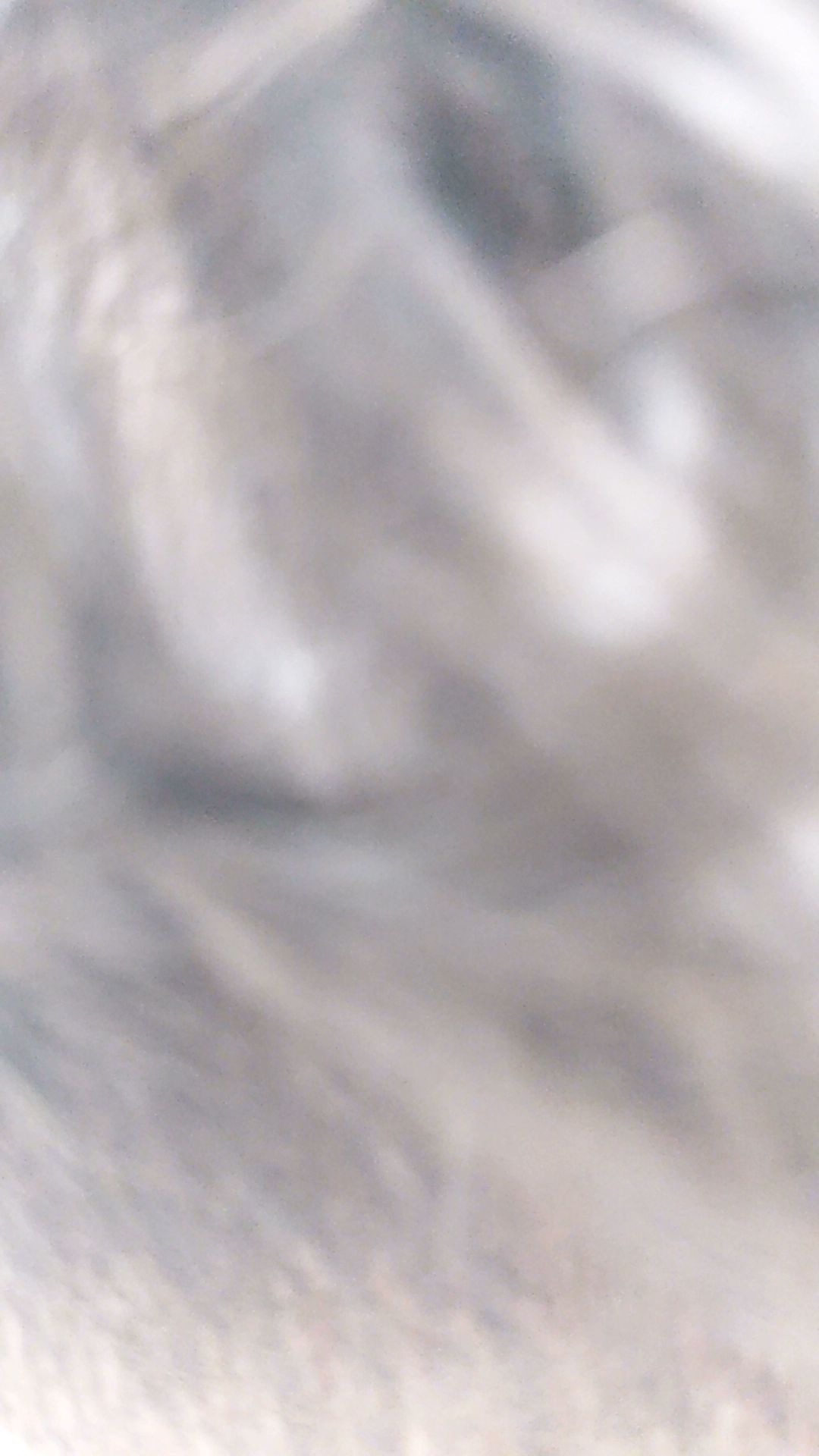 LEVELS Barbershop 2701 SW College Rd unit 605, Ocala Florida 34474