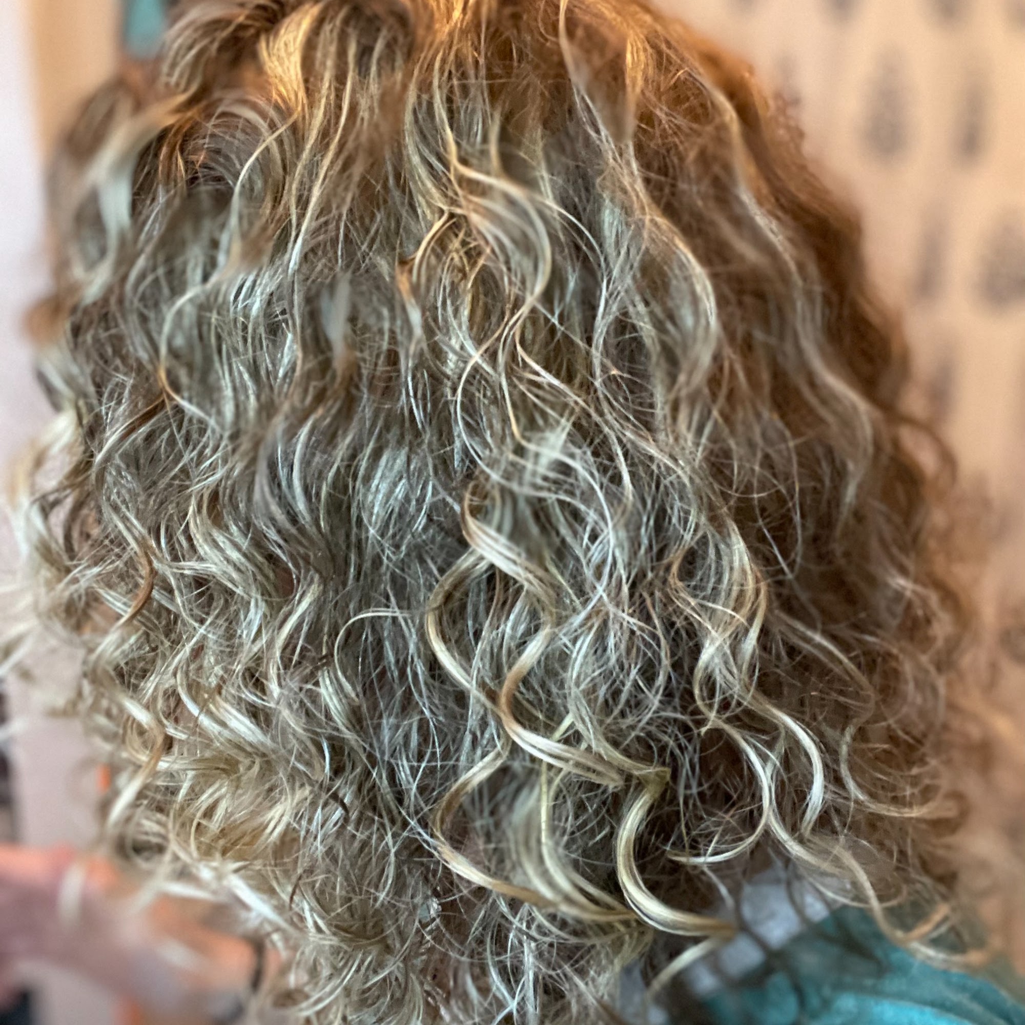 GC Luxe Beauty Hair Studio 739 E Silver Springs Blvd STE 201, Ocala Florida 34470