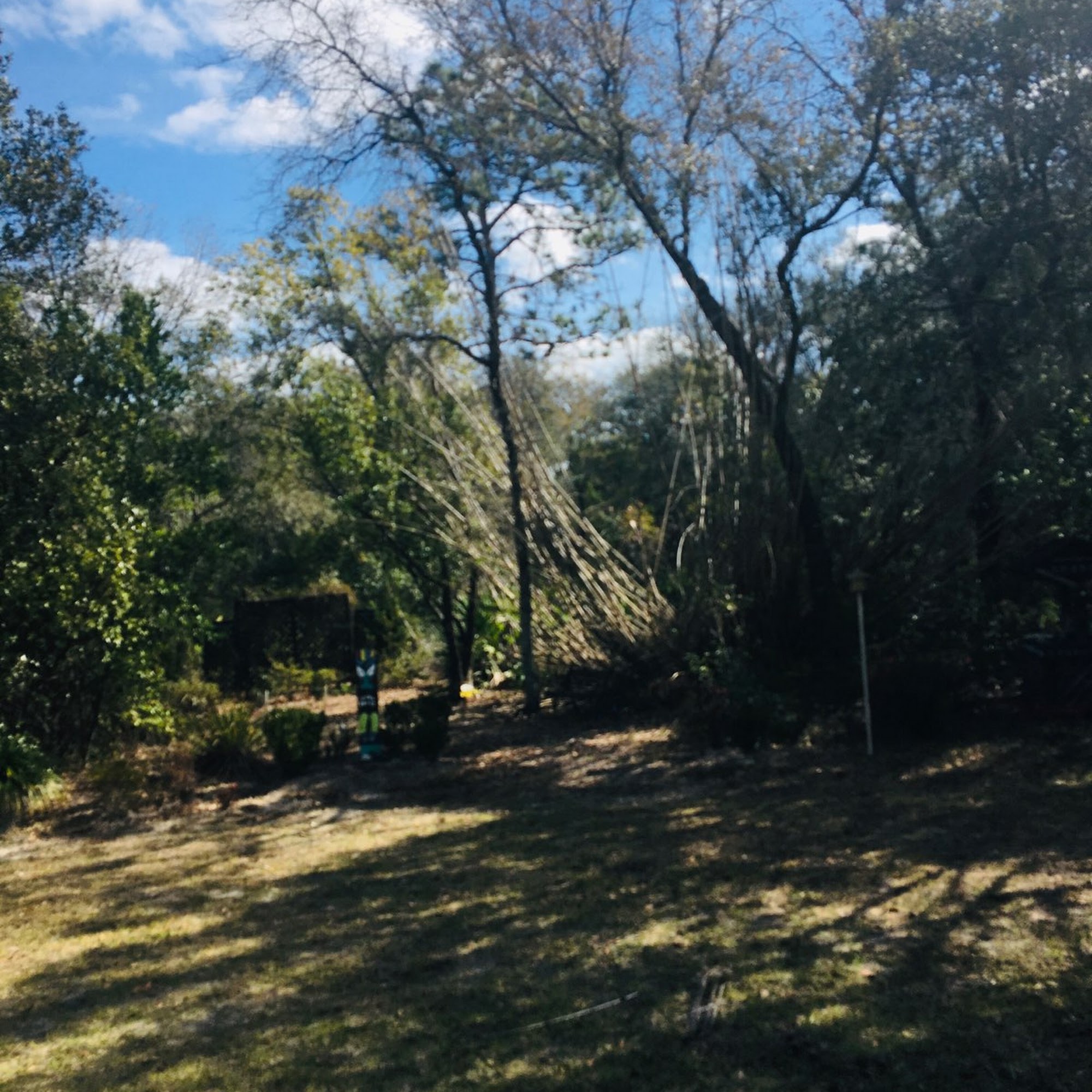 Top of the Line Tree Service