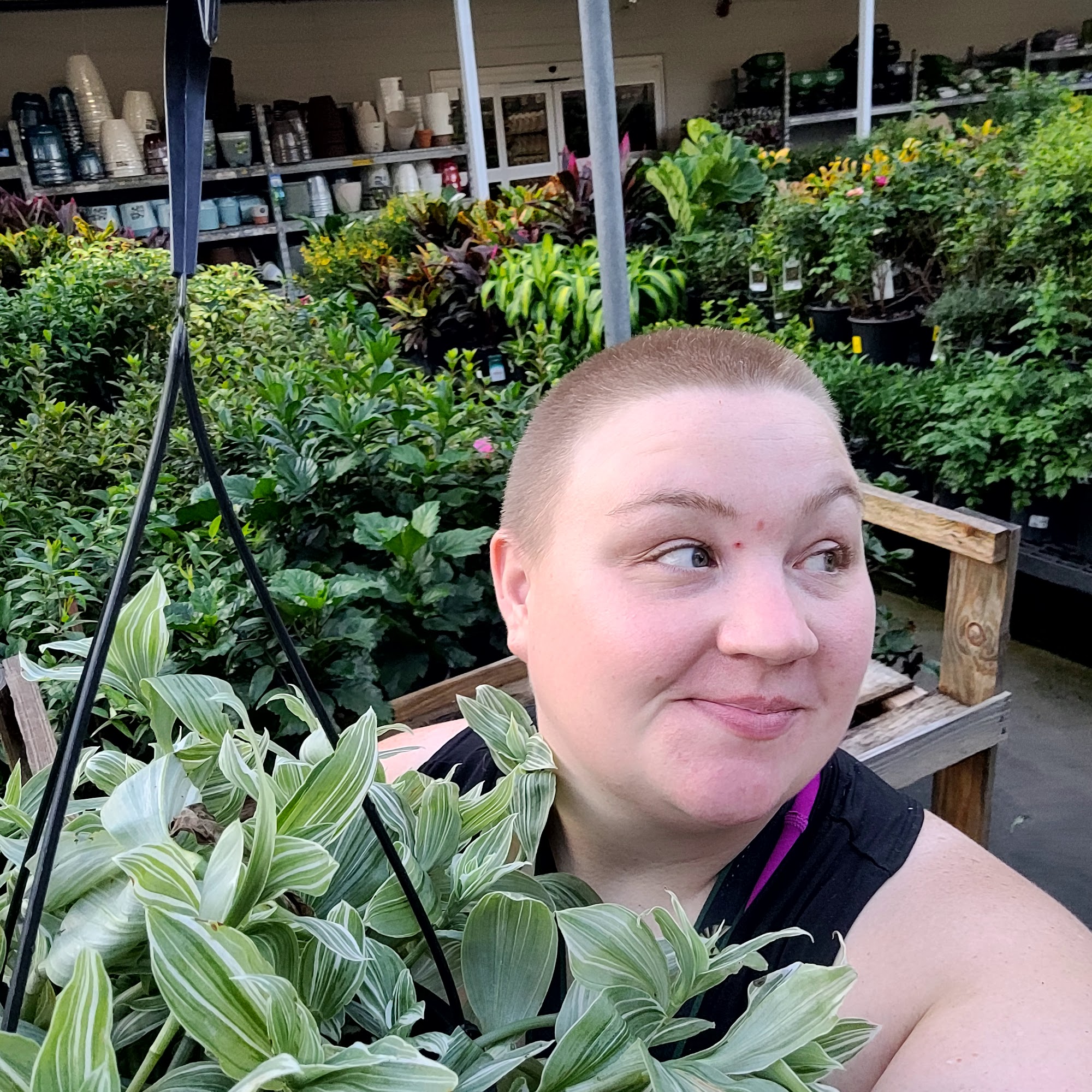 Walmart Garden Center
