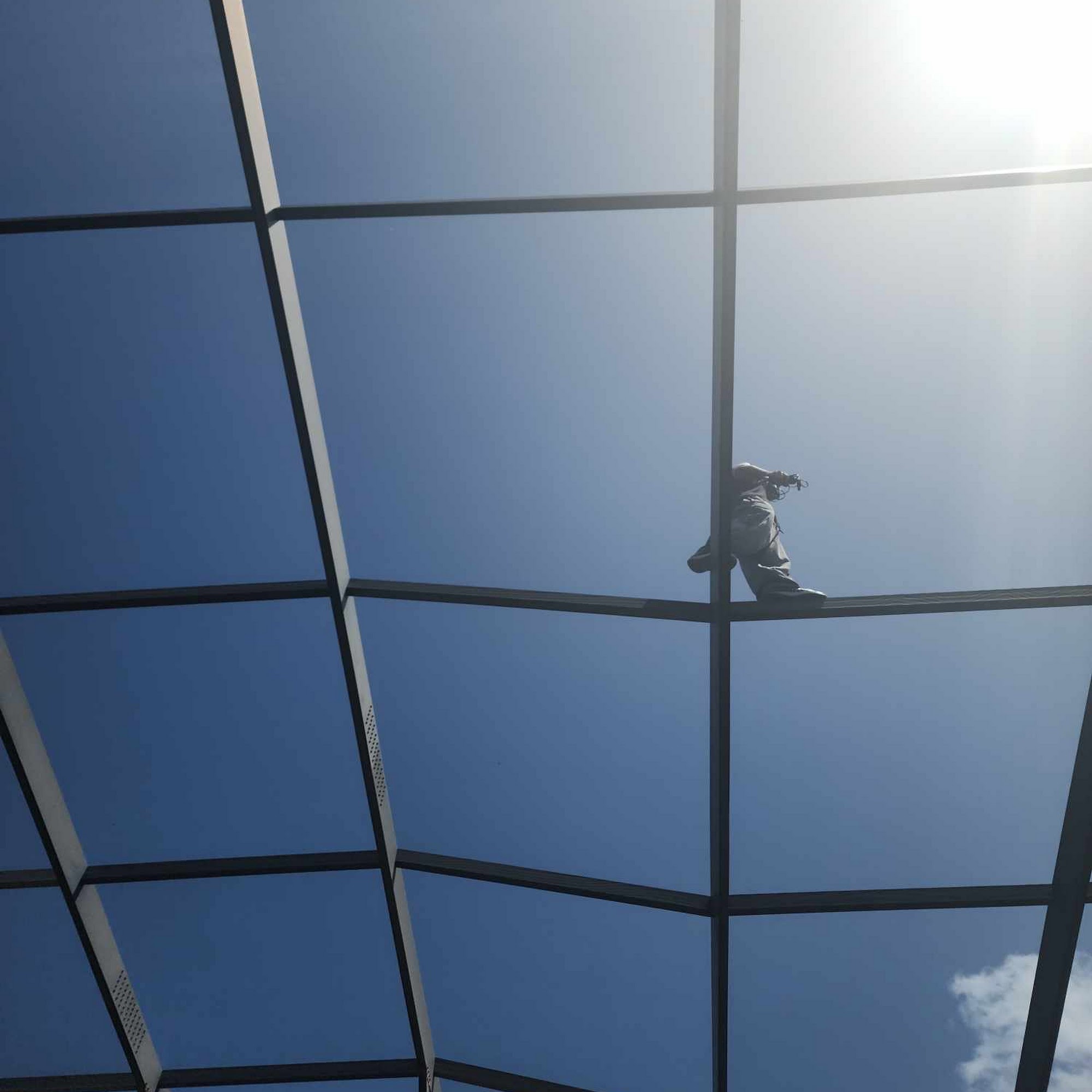 All of the Above Services