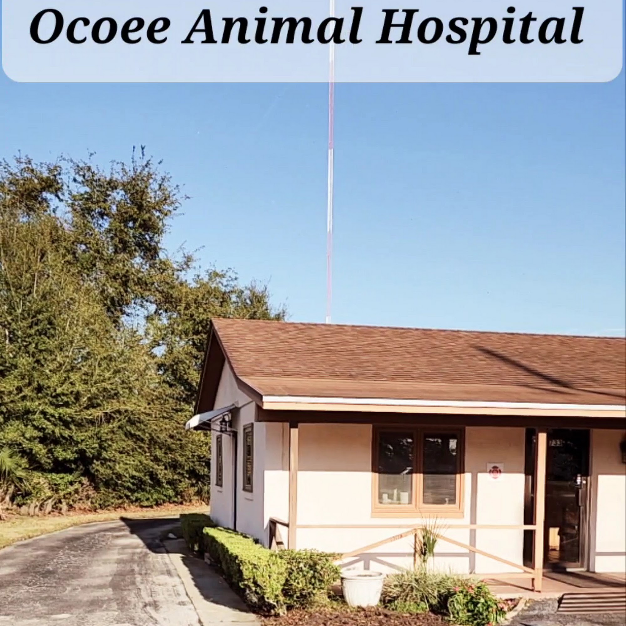 Ocoee Animal Hospital Ocoee