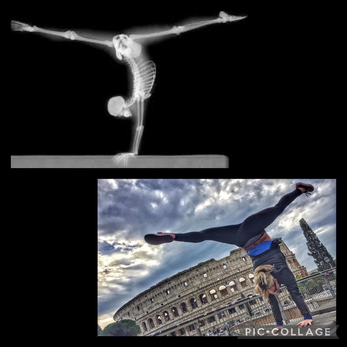 Next Level Physiotherapy and Performance