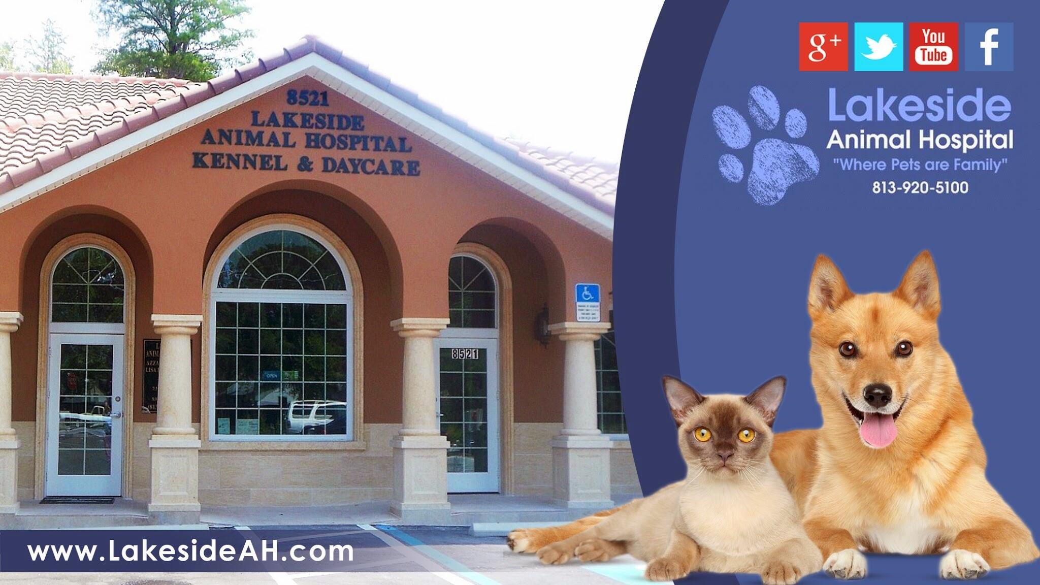 Lakeside Animal Hospital Odessa