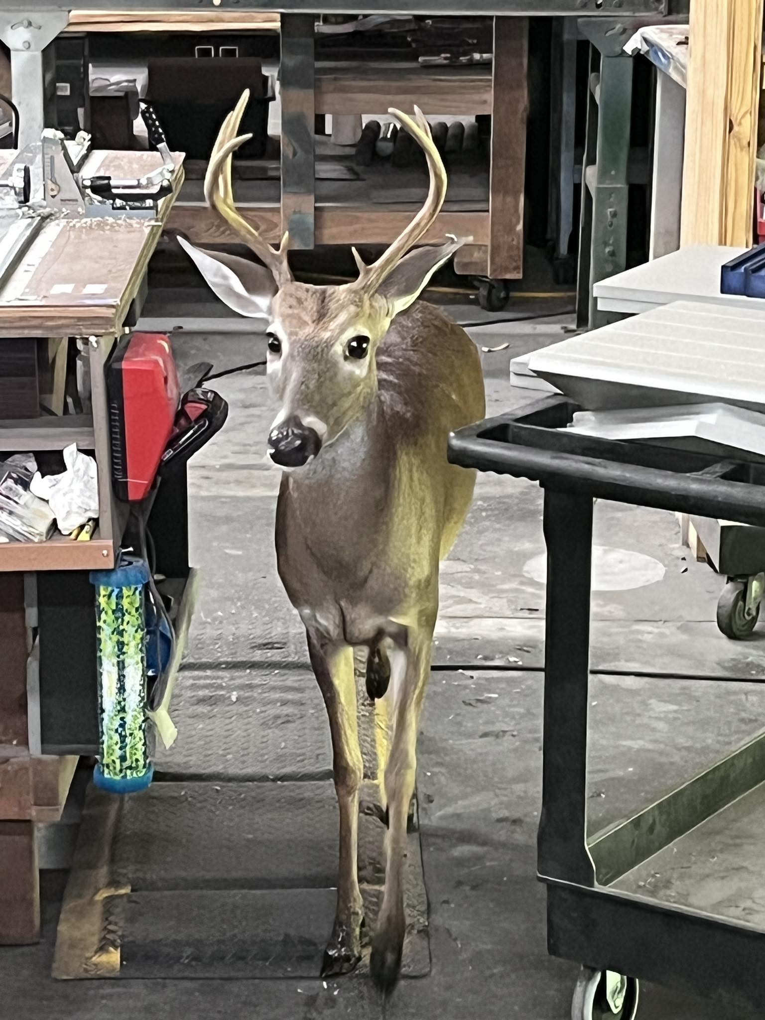 Designer Golf Products Odessa