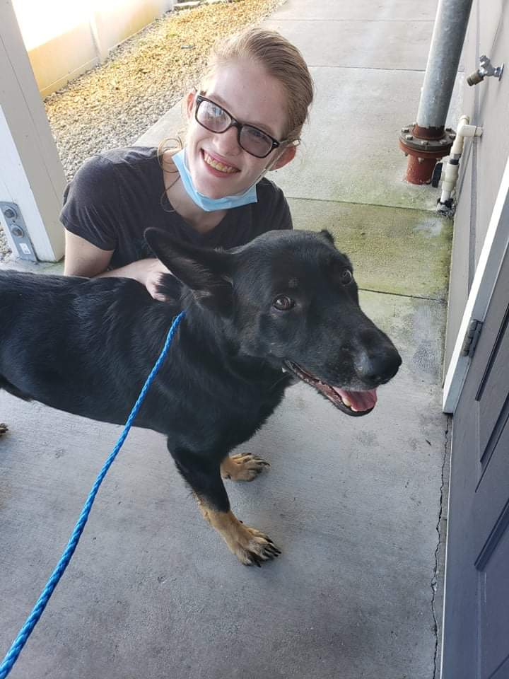 Northlake Veterinary Hospital Okeechobee