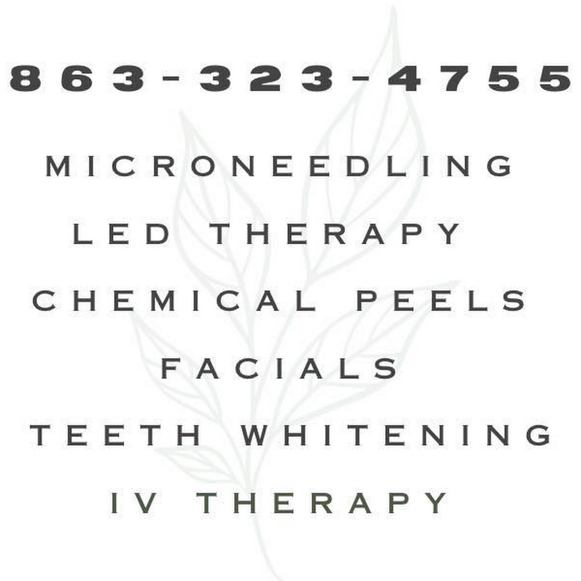 The Splendid Vine Beauty Bar