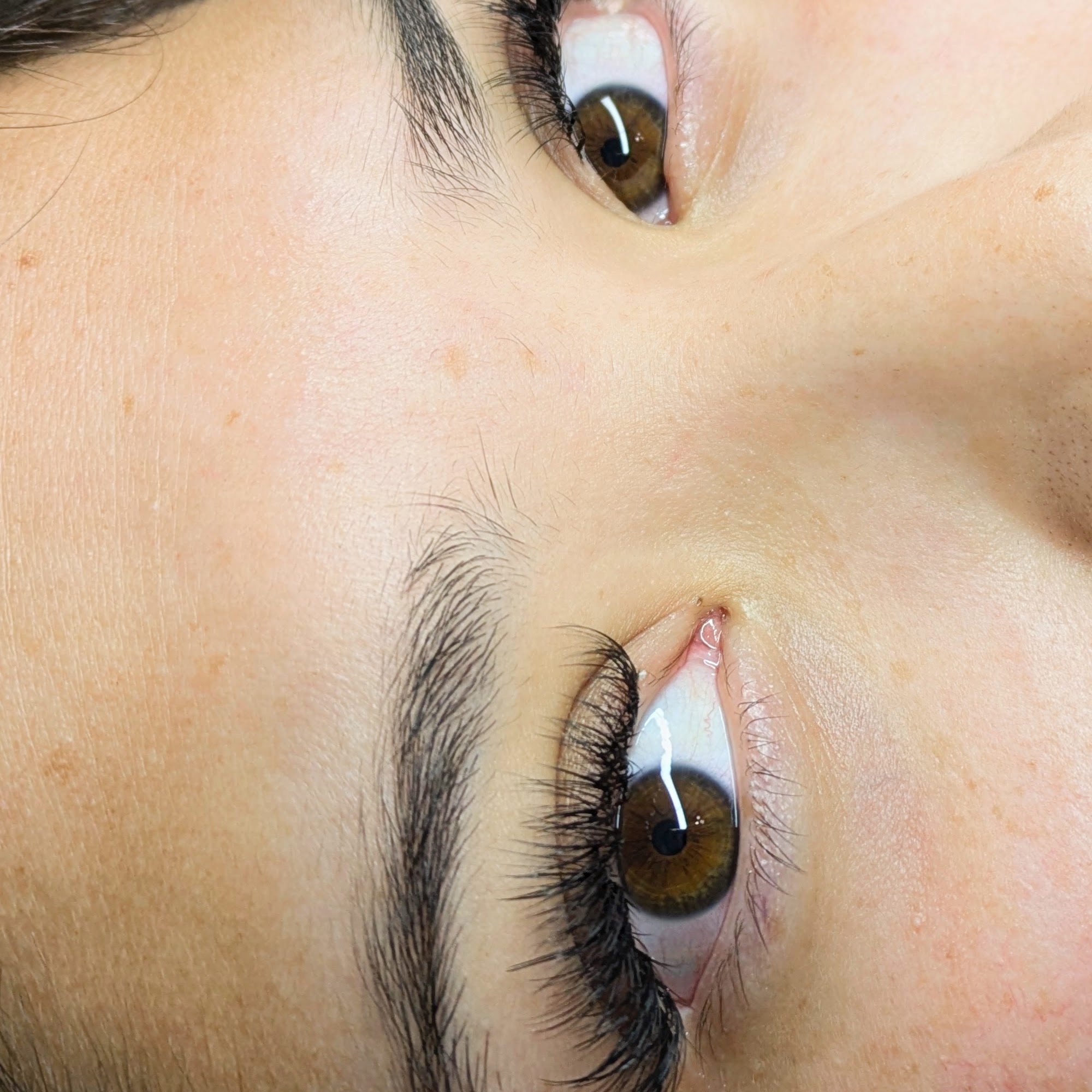 Beauty Like Bees LLC