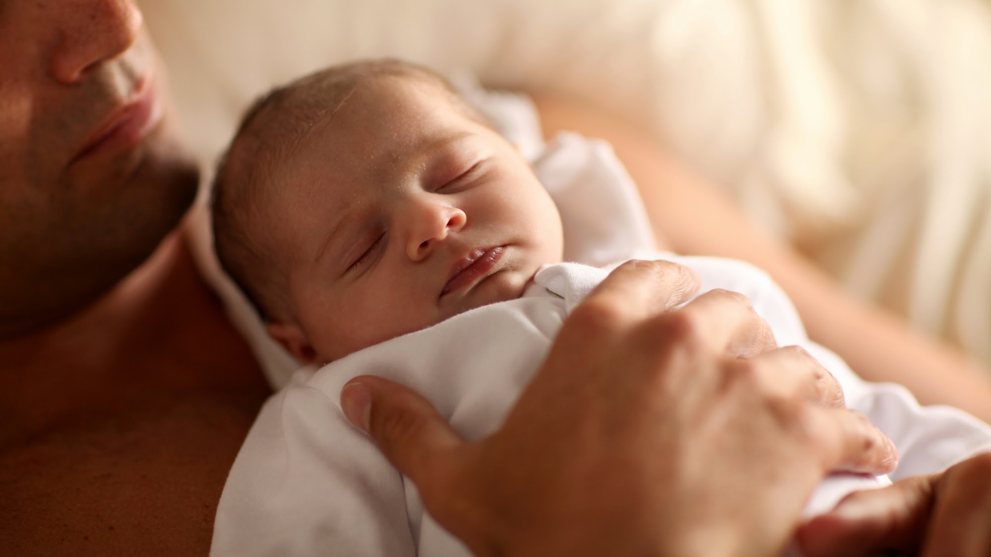 Cryo-Cell International Oldsmar