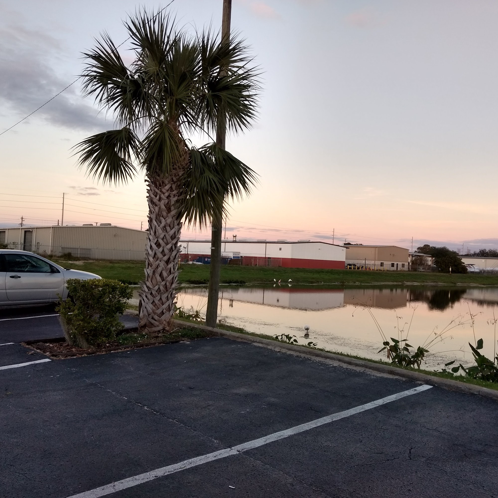 Floor 2 Ceiling 209 Tower Dr, Oldsmar Florida 34677