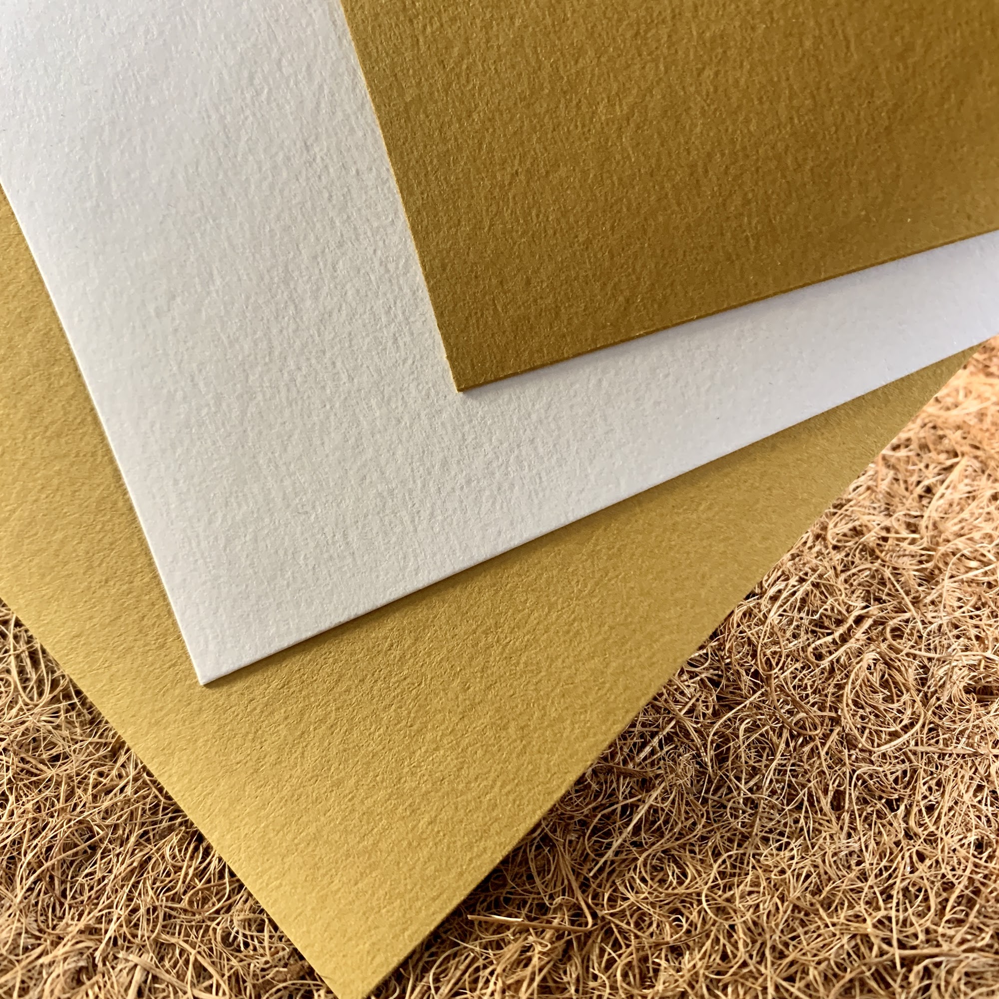 Announcement Converters Opa-locka