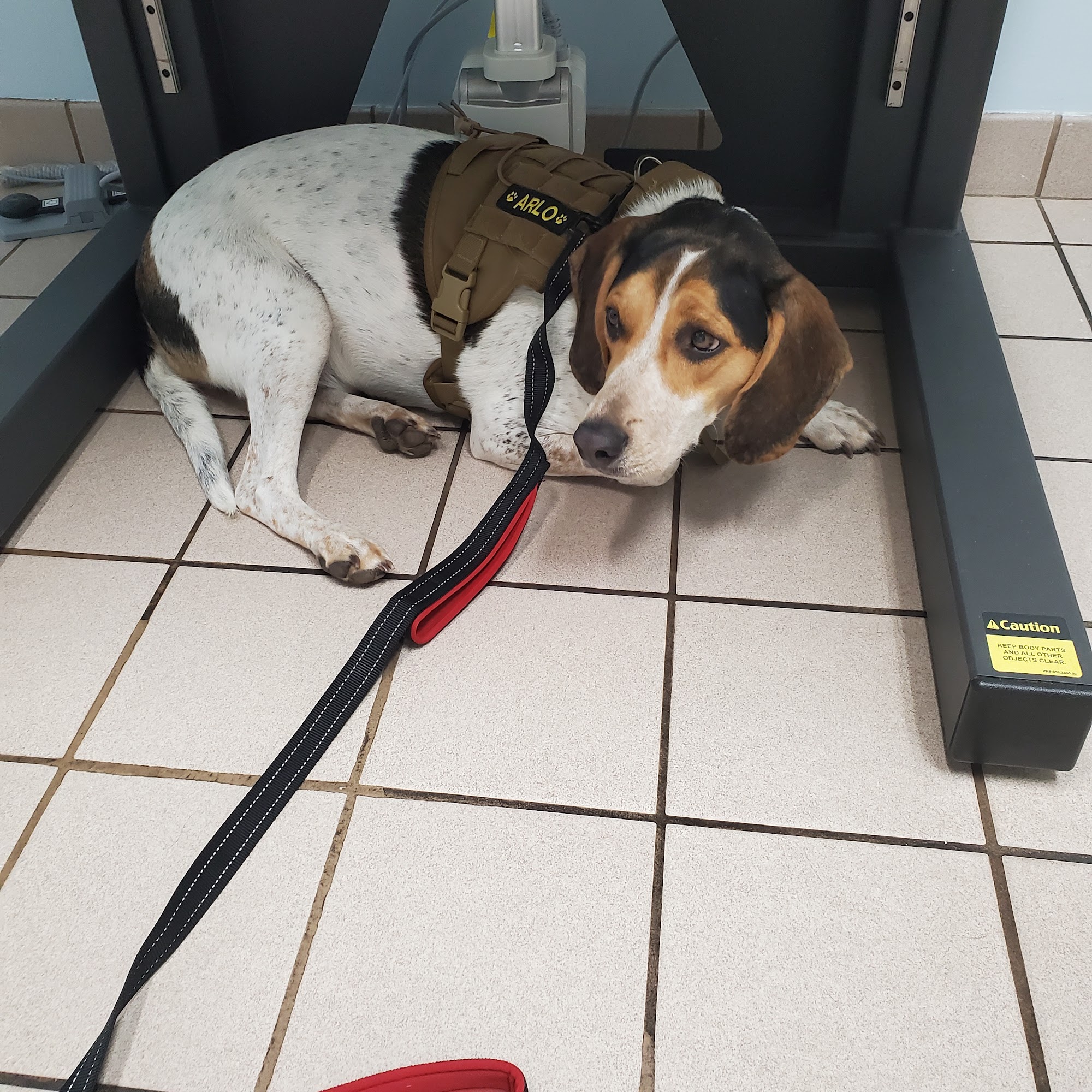 Fleming Island Pet Clinic: Antar Randa DVM Orange Park