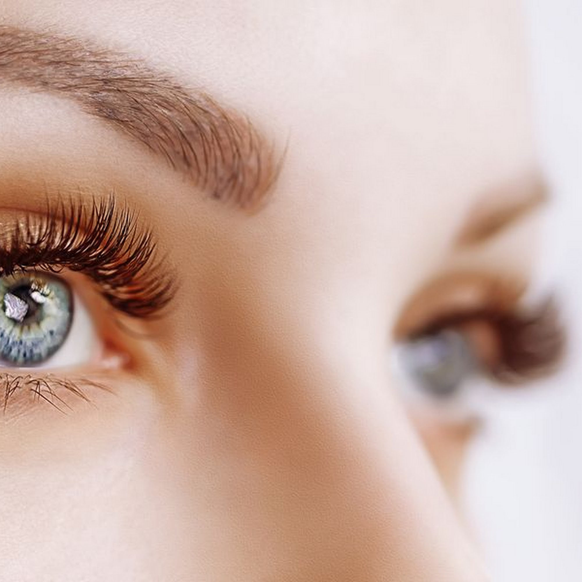 Tailored Brows By Christina