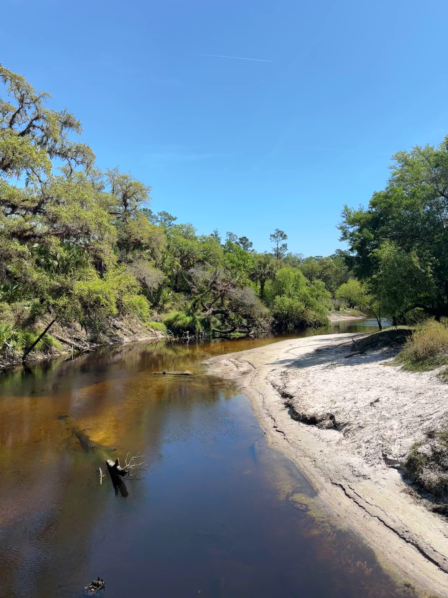Papa Johns Pizza Menu